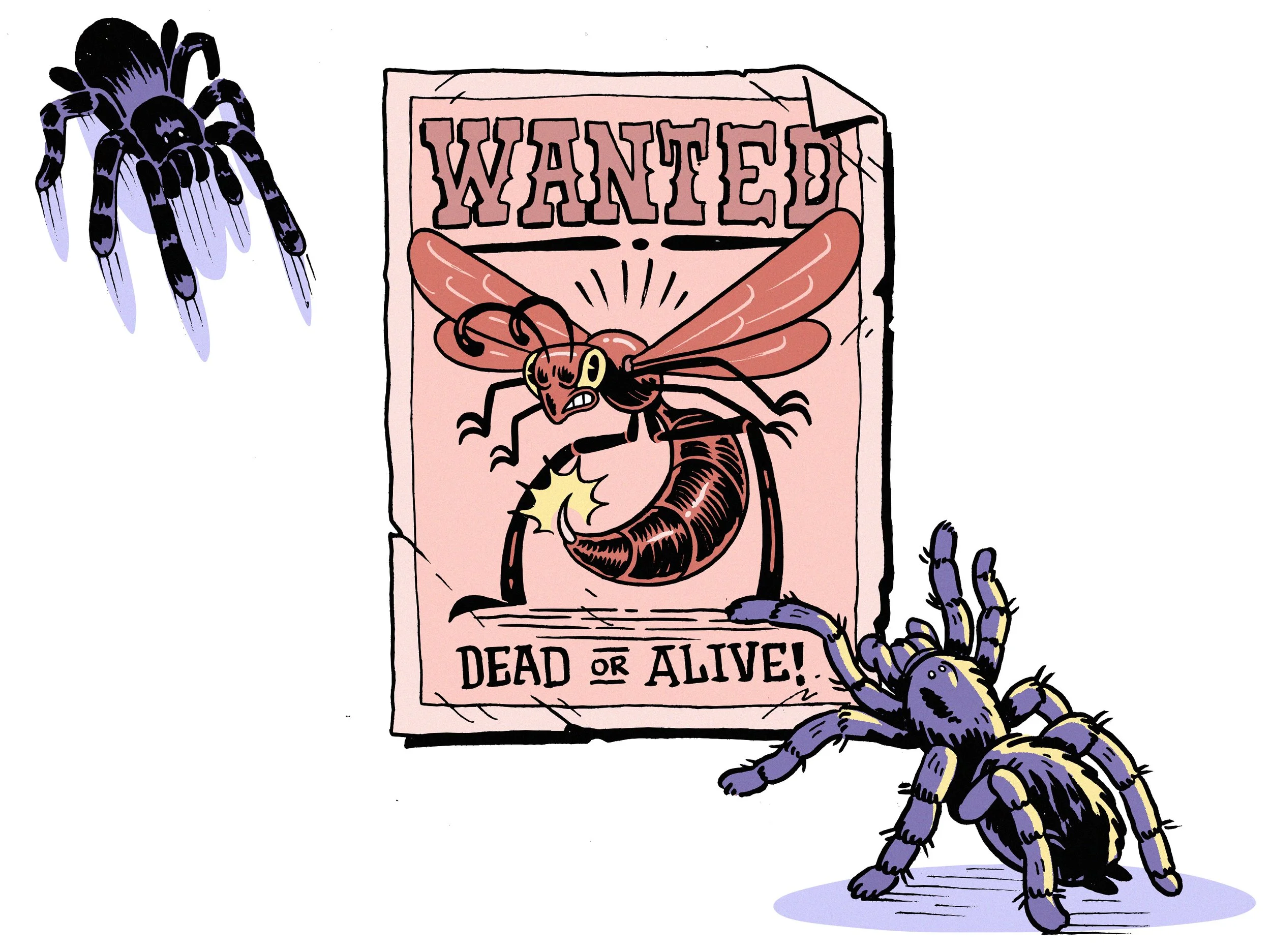 11. Wasp.jpg