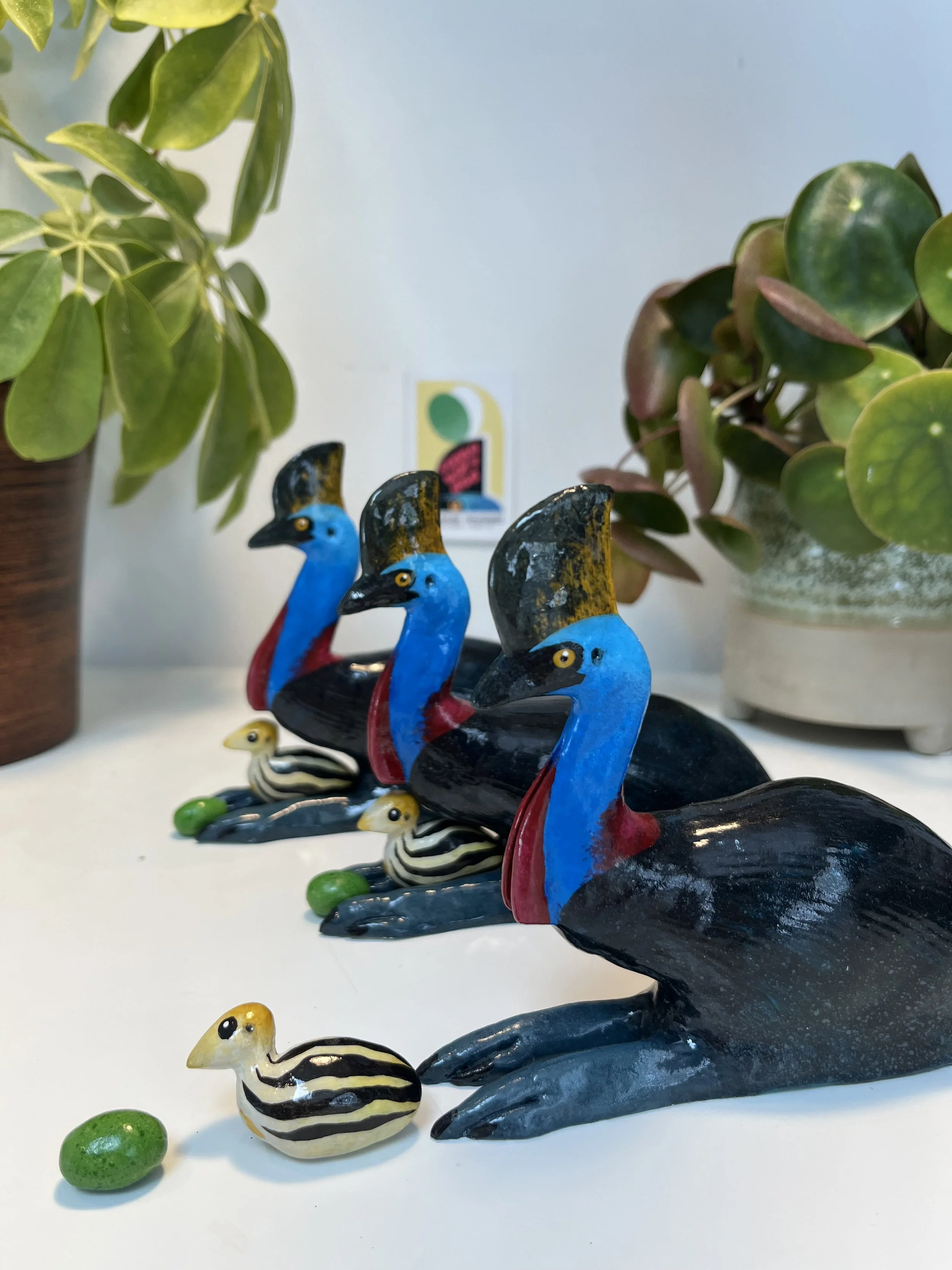 Cassowary Dads (1st batch - Spring 26).jpeg