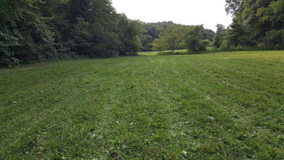 Food plot 2.jpg