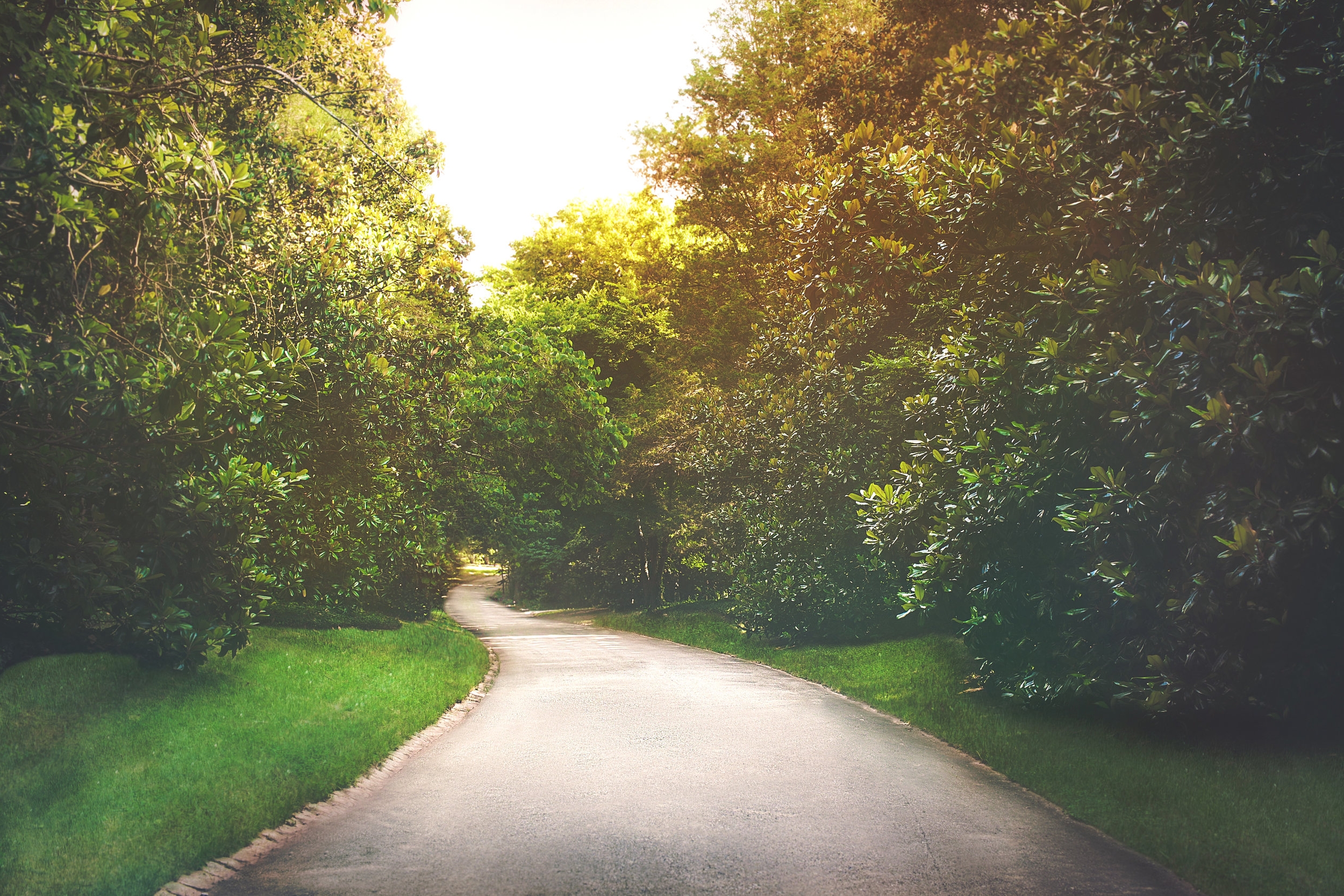 Chatham_1245-39 Alt.jpg