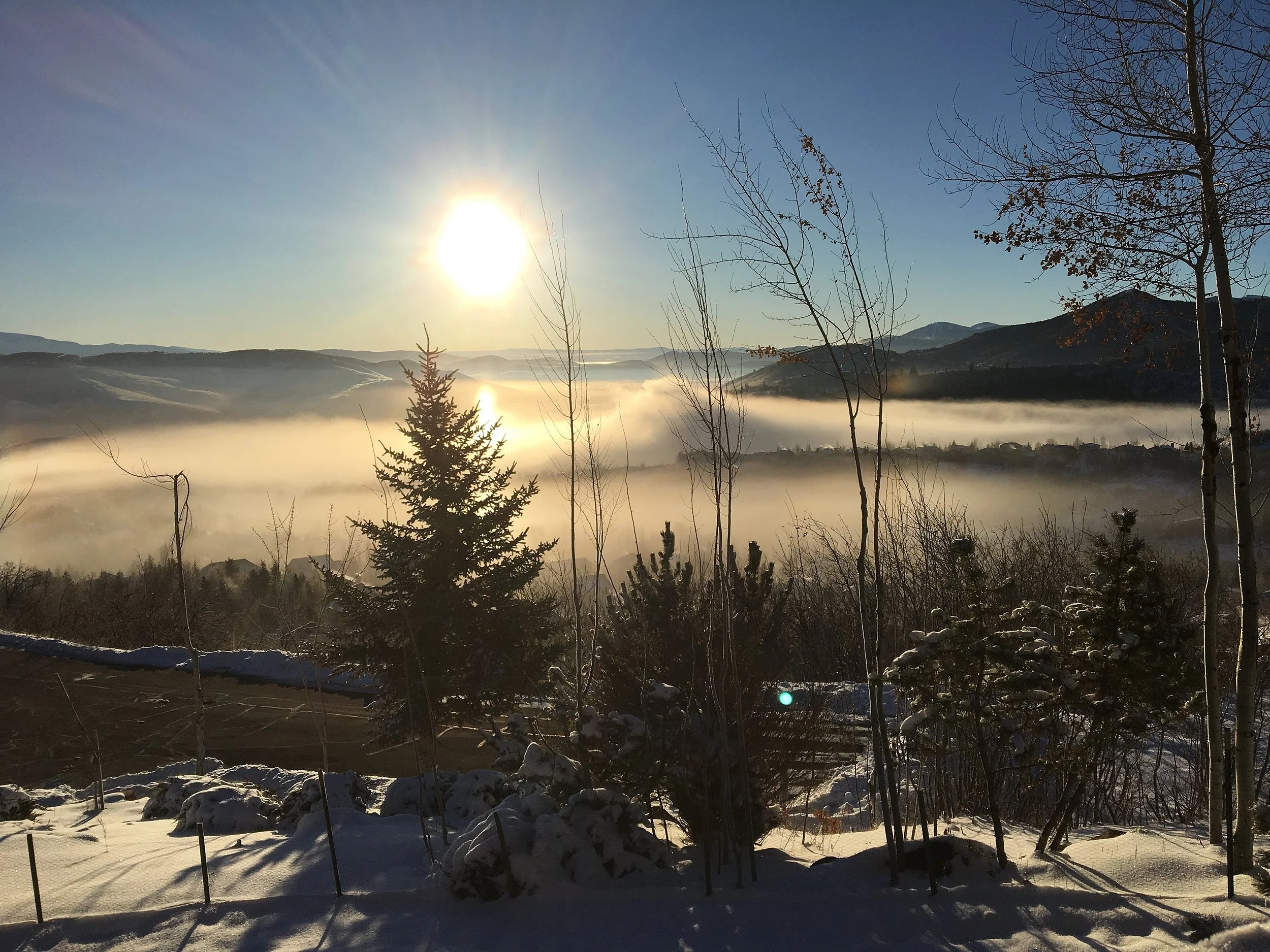 File Jan 30, 12 52 13 PM.jpeg