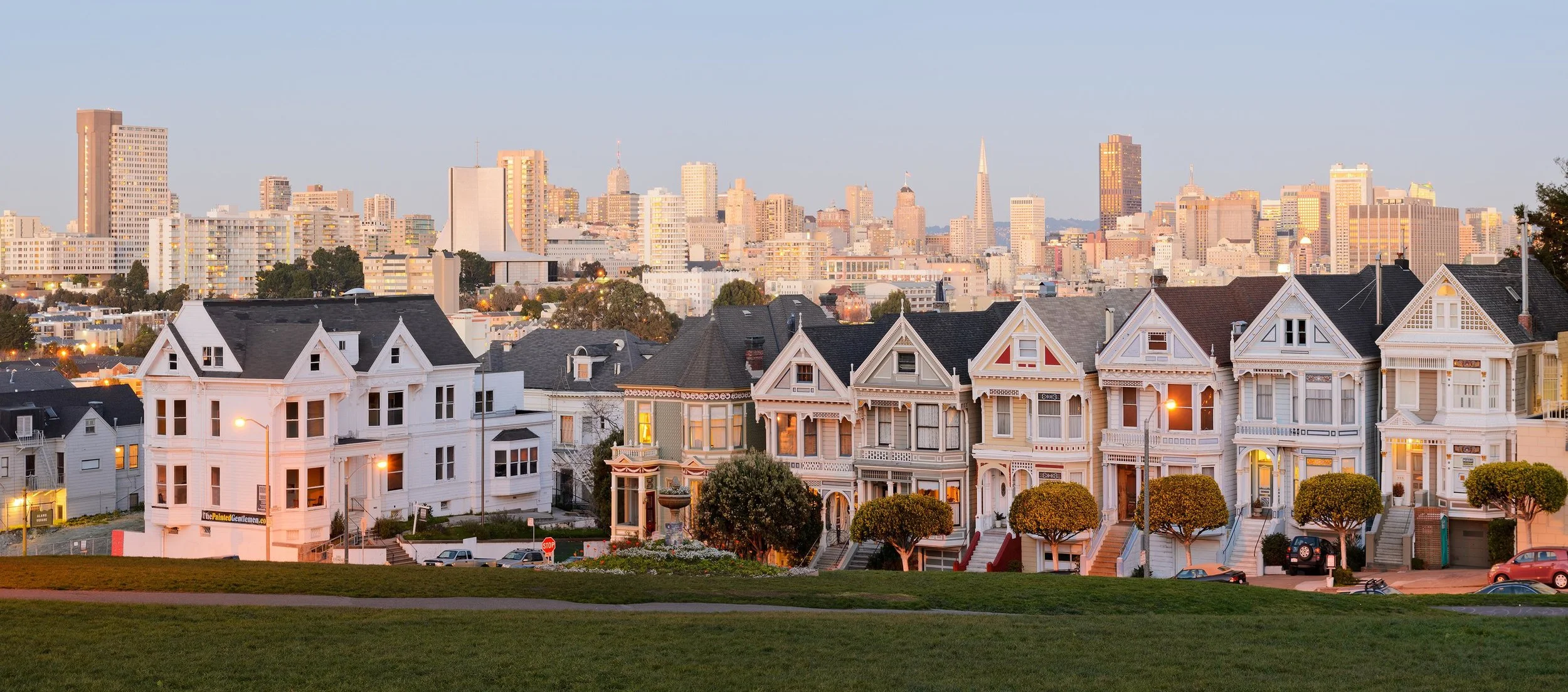 Painted Ladies.jpg