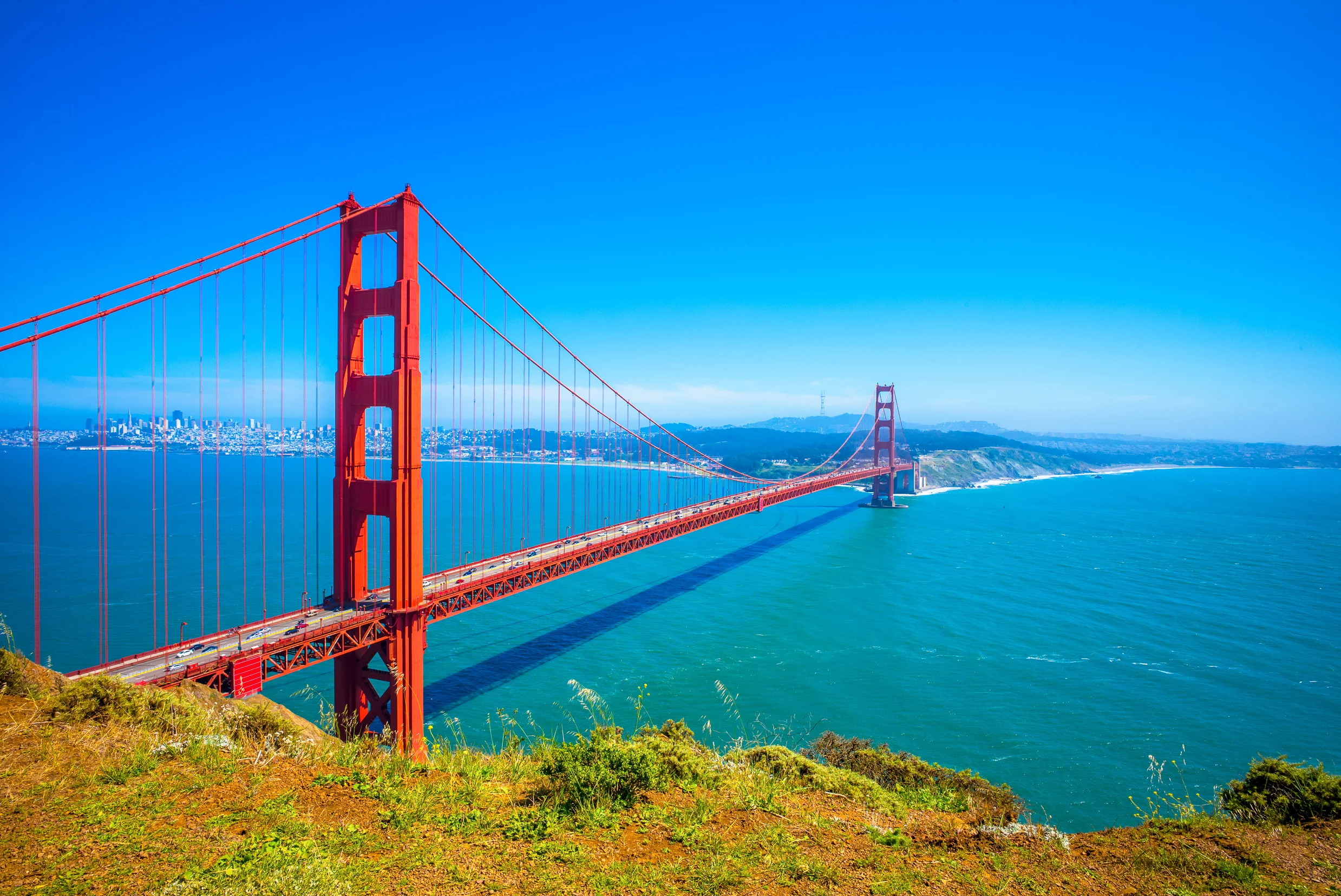 AdobeStock_134172662.jpeg