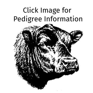 DF Resource C226