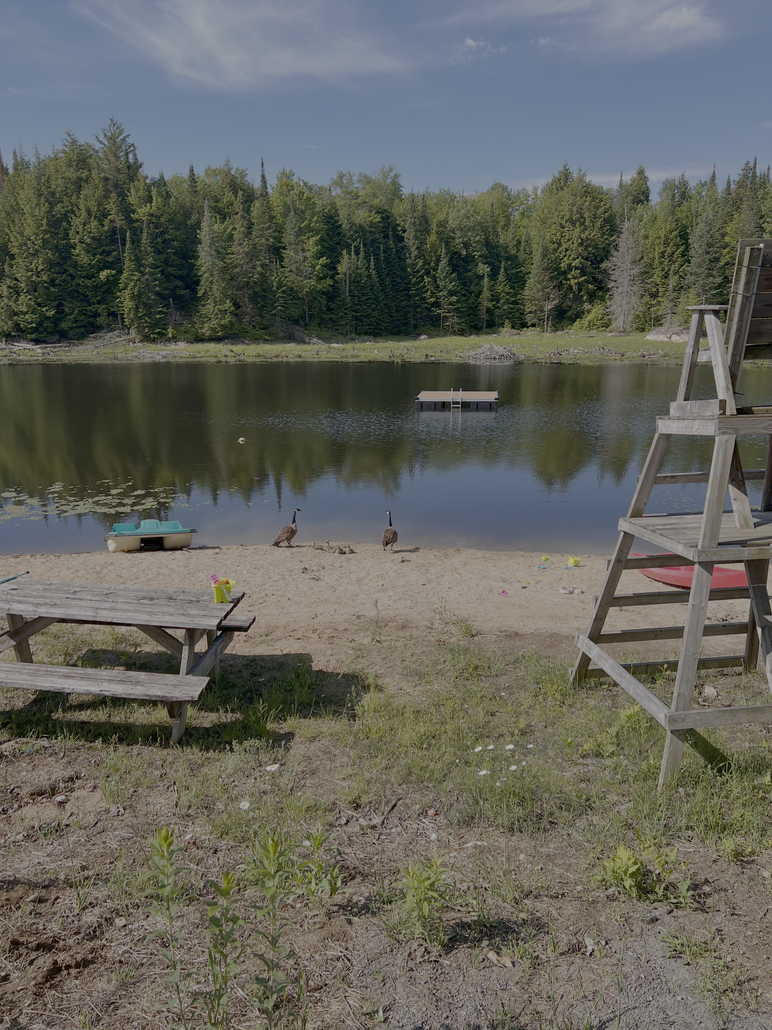 CDLM beach.png