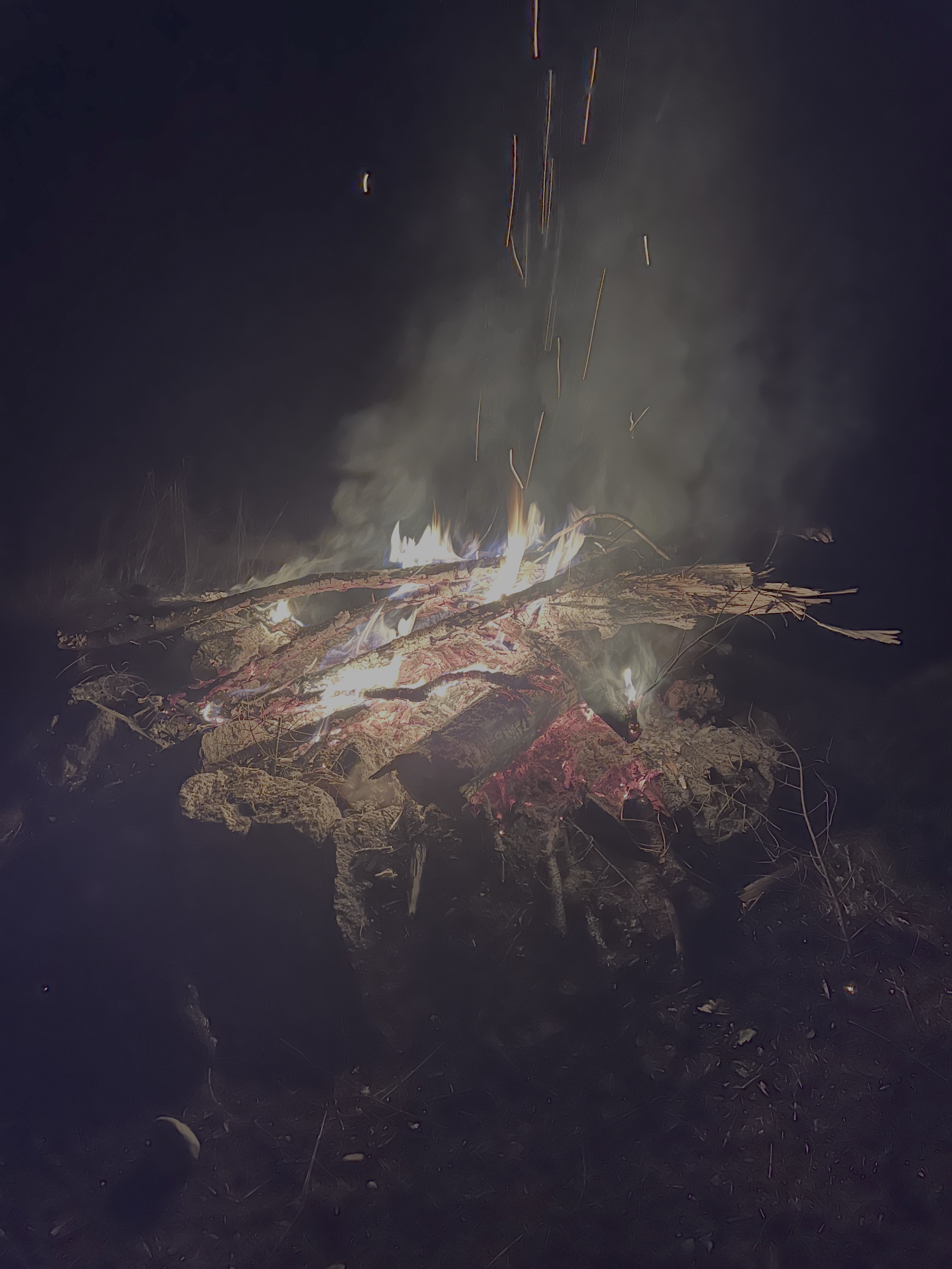 CDLM campfire.png