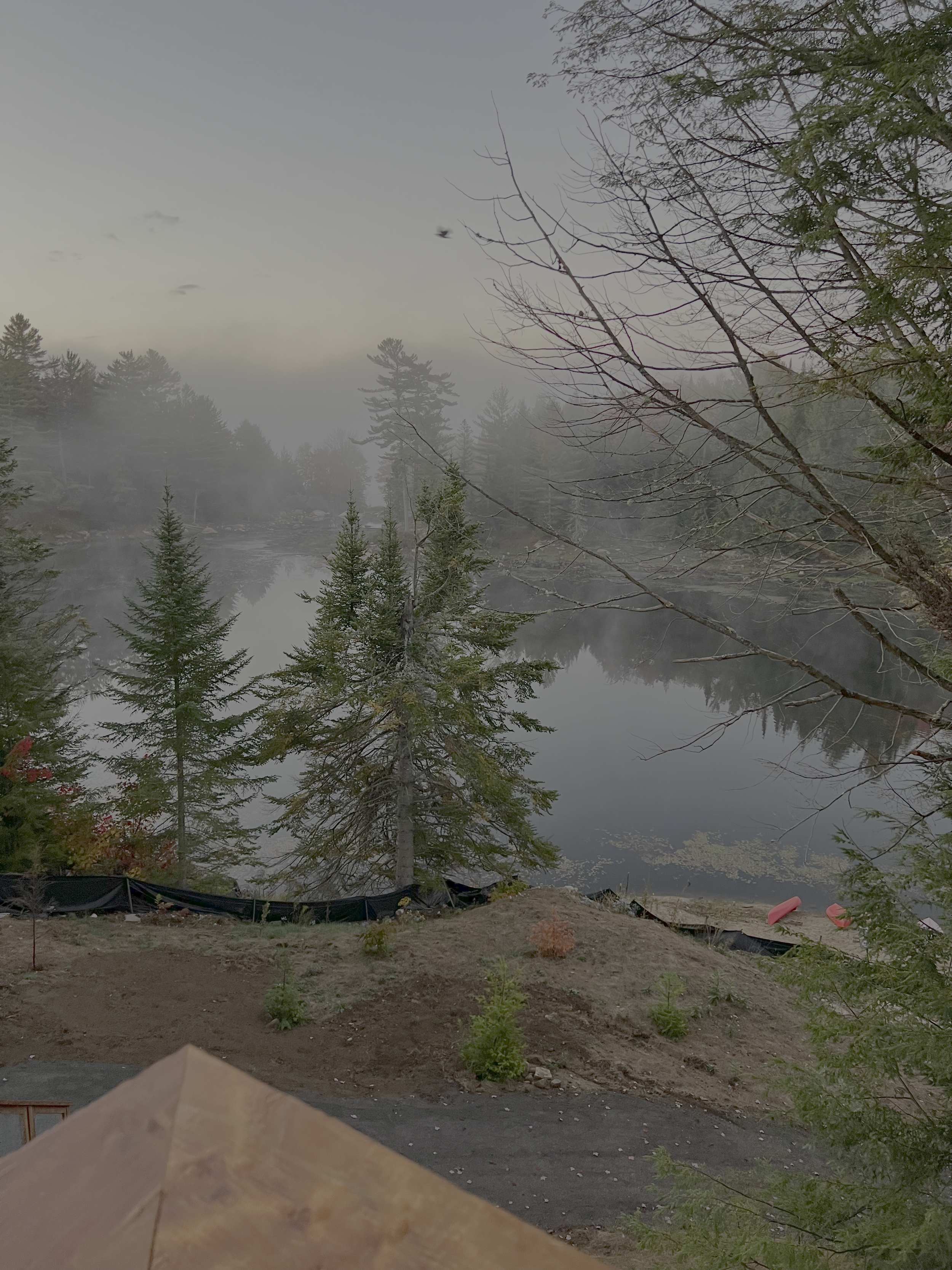 CDLM morning view.png