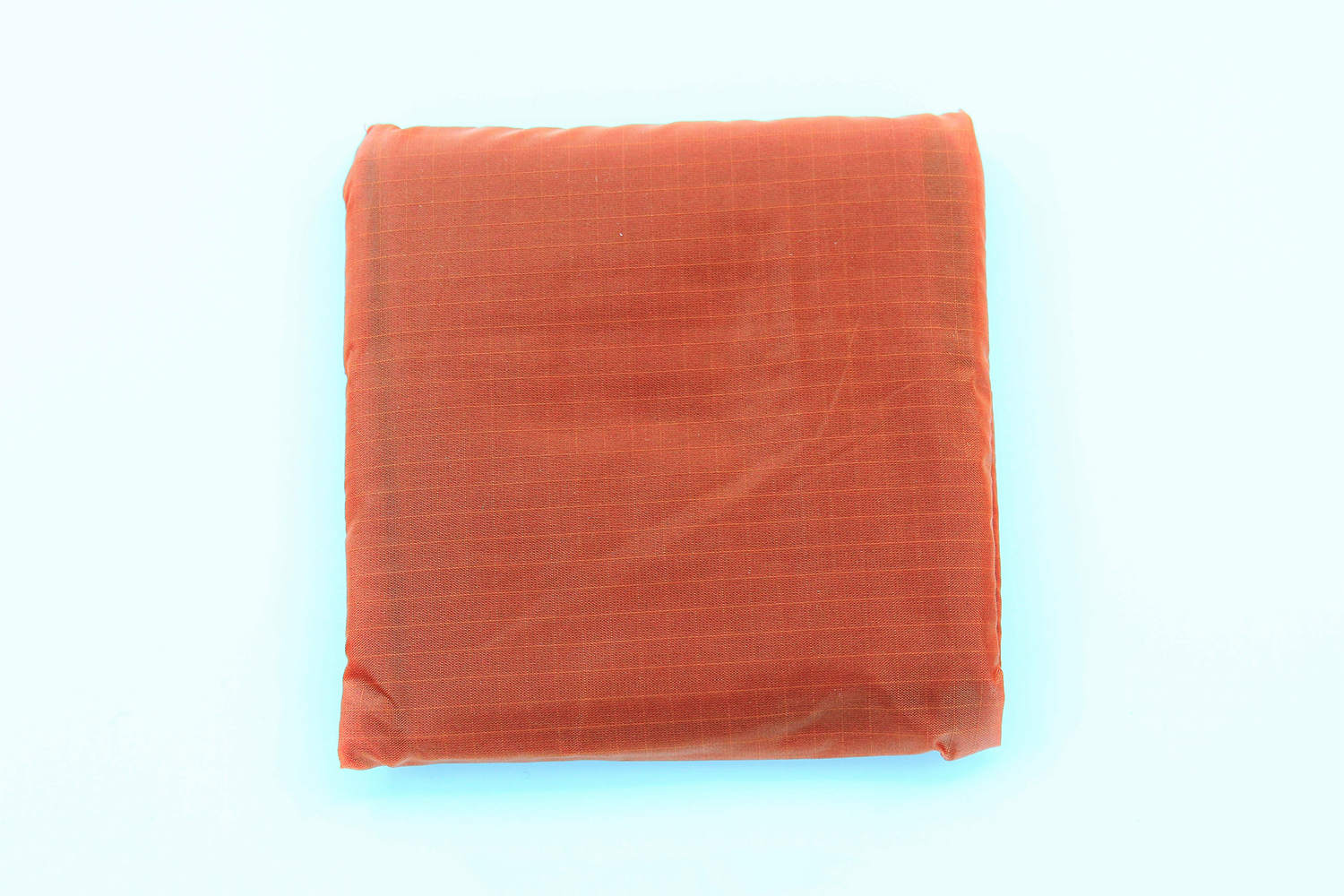 Good Gift Delivered Baggu Reusable Bag