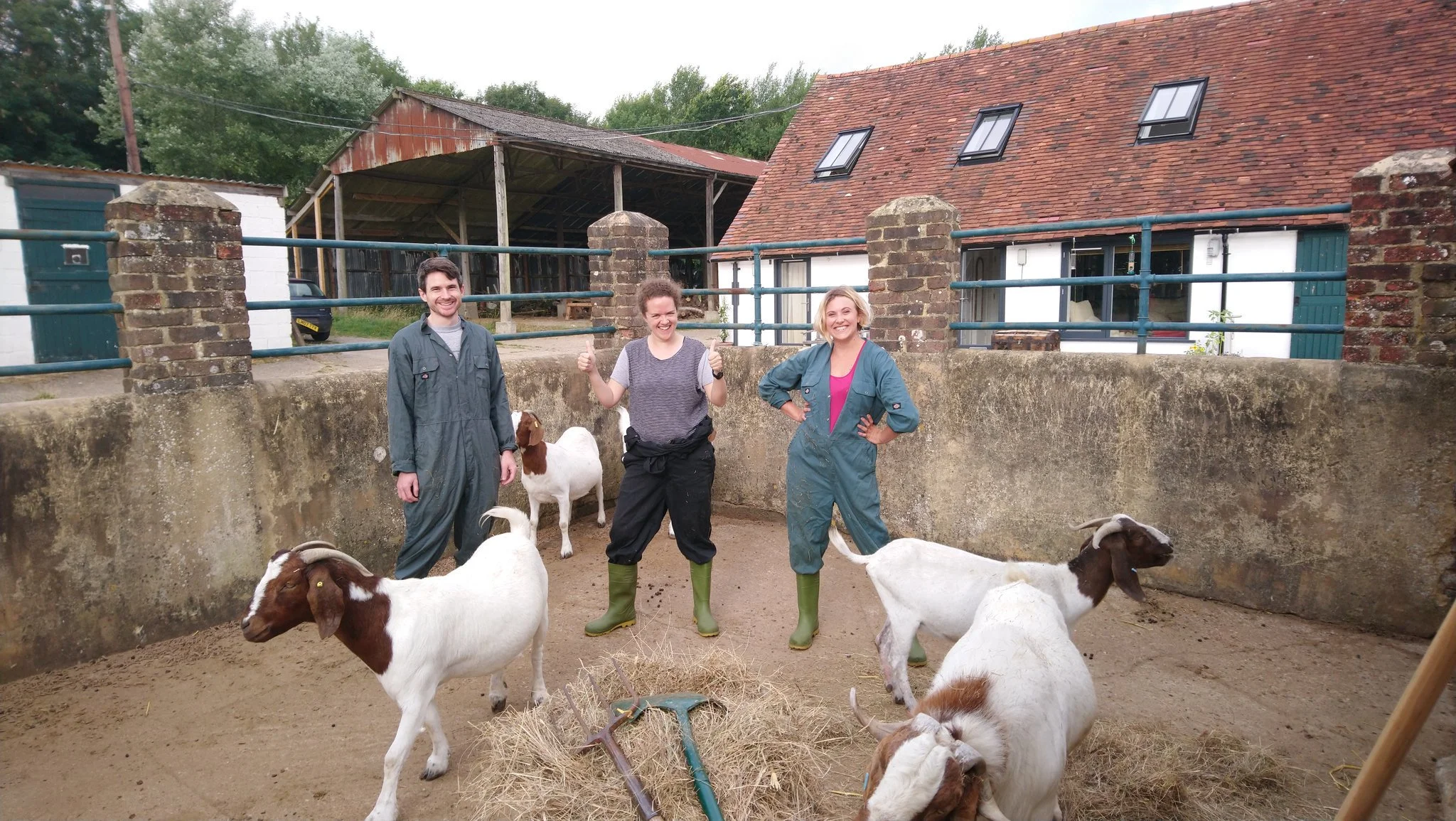 Farm pic.jpg