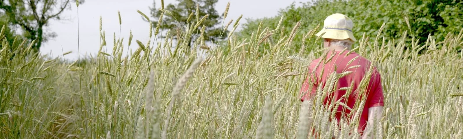 WhatsApp Image 2020-09-23 at 15.26.24.jpeg