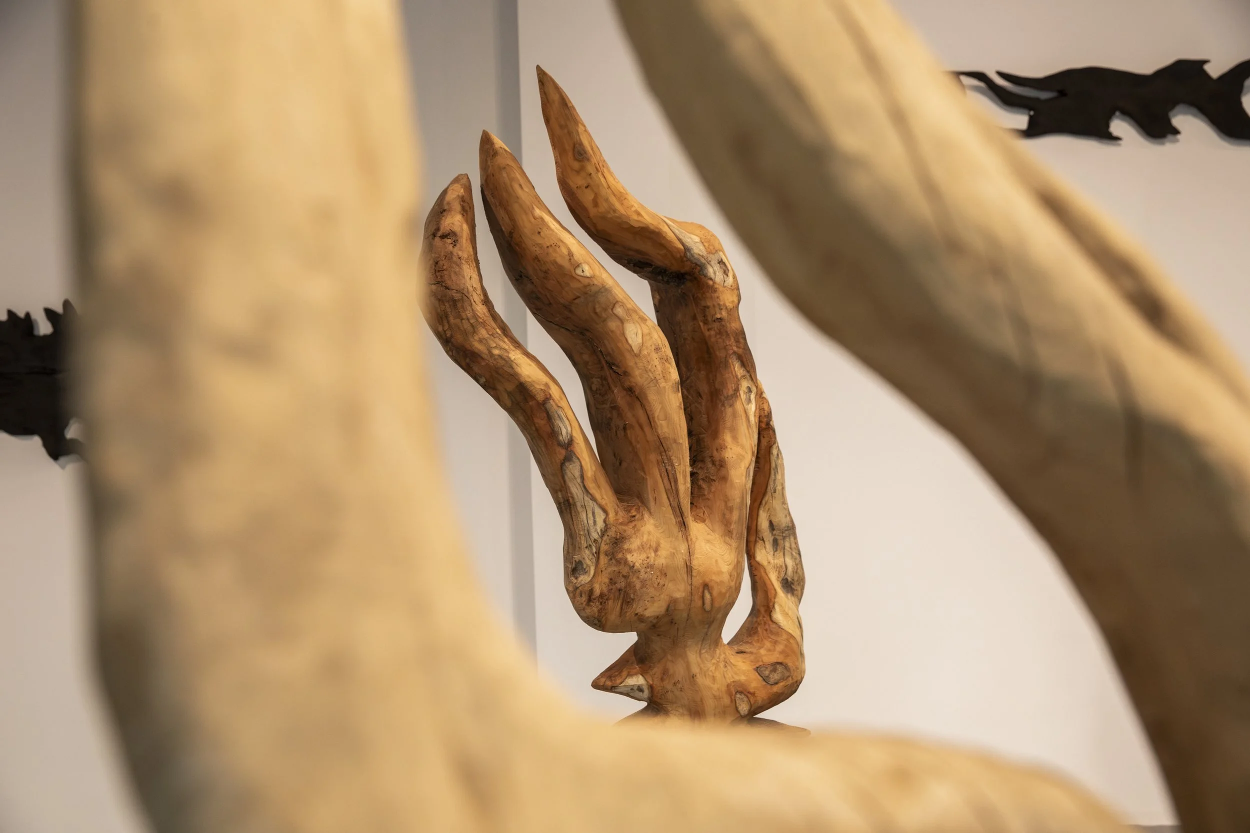 SOL BAILEY BARKER-36.jpg