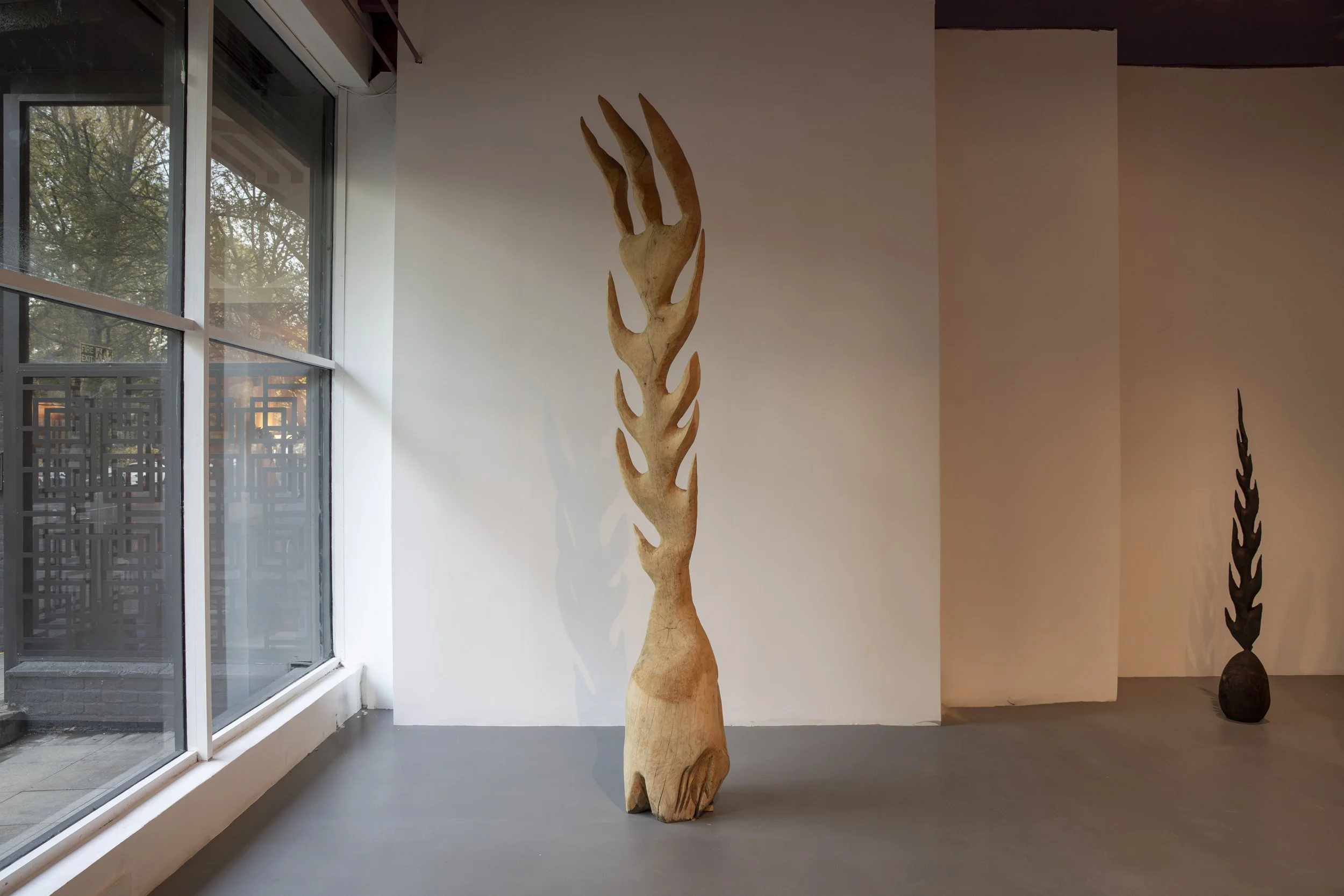 SOL BAILEY BARKER-29.jpg