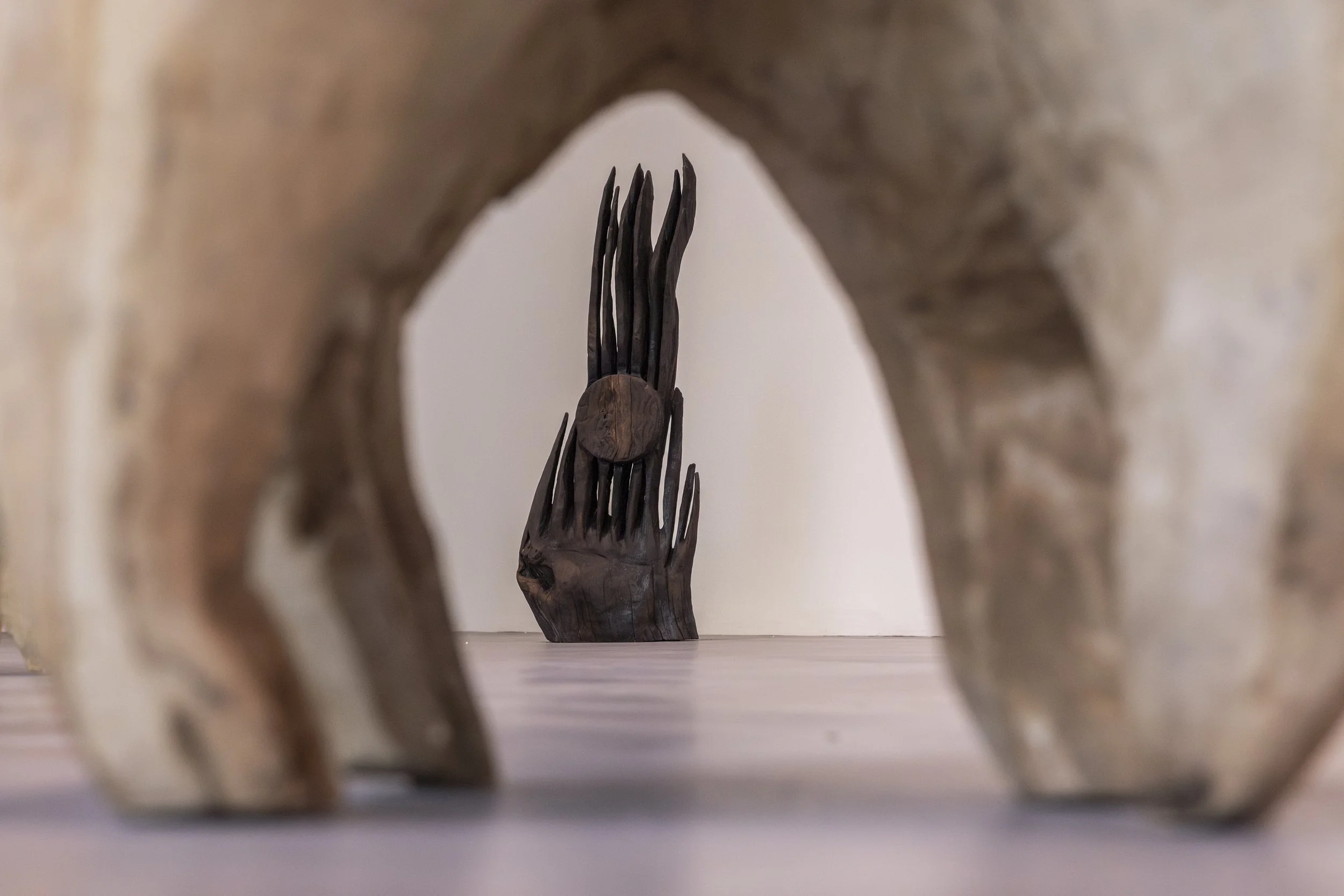 SOL BAILEY BARKER-20 (1).jpg