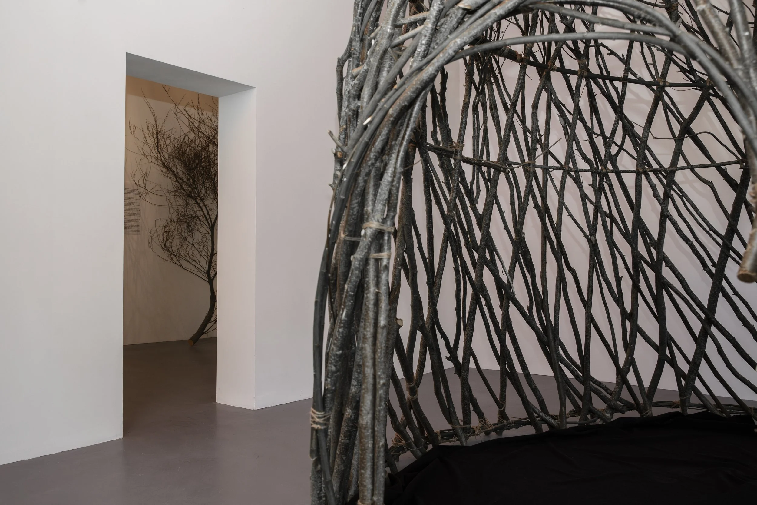 SOL BAILEY BARKER-26.jpg