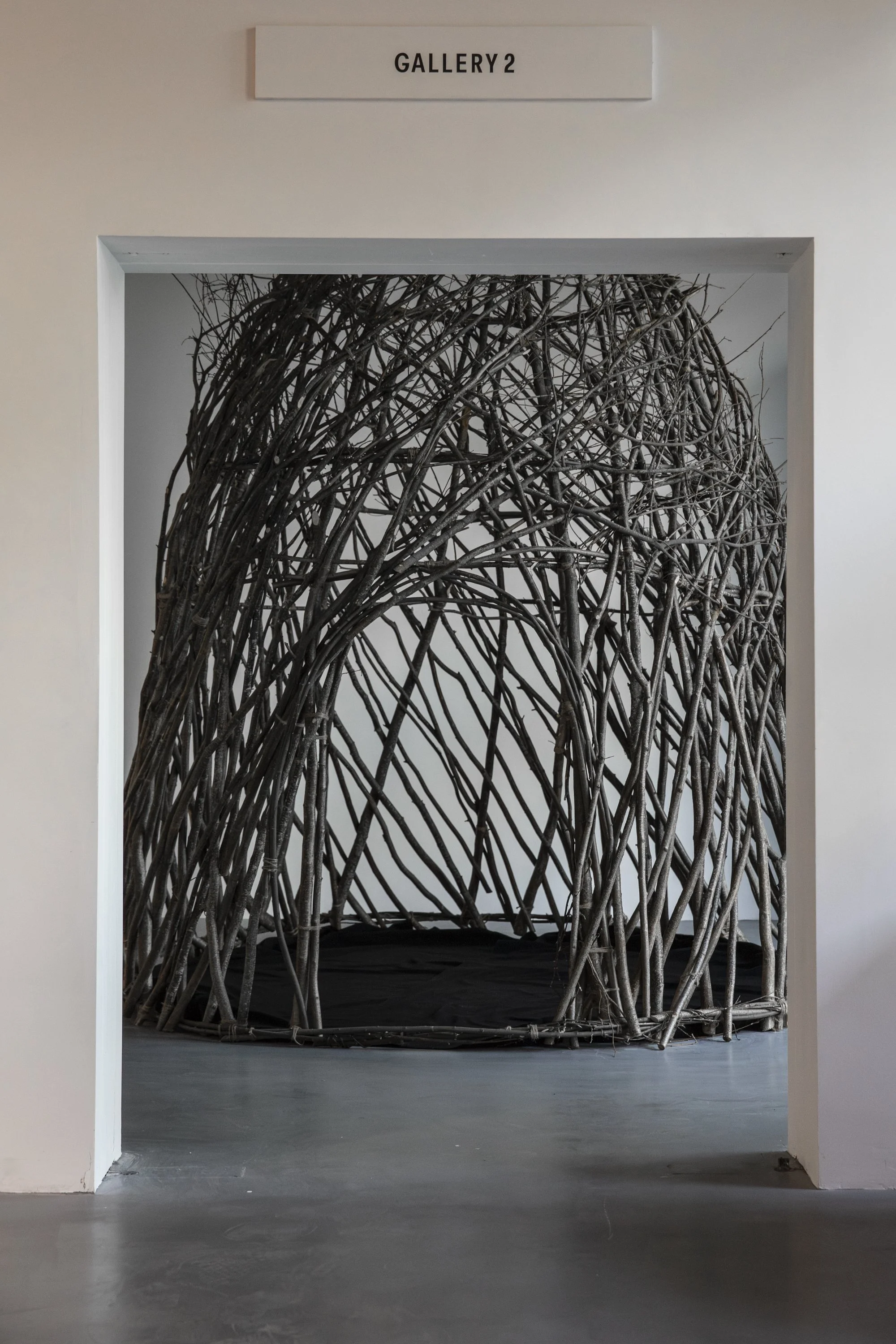 SOL BAILEY BARKER-23.jpg