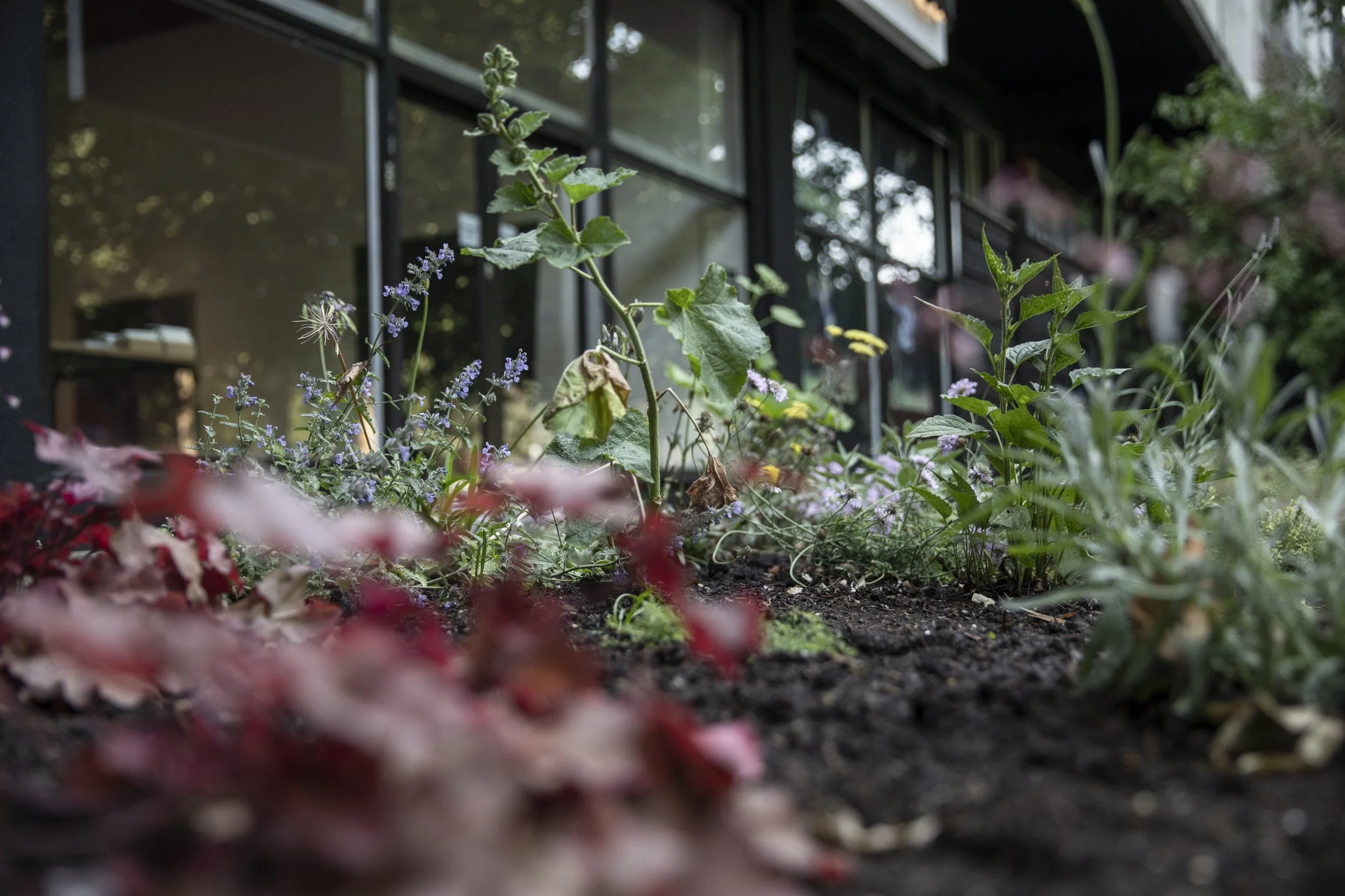 Locus of Voices-58.jpg