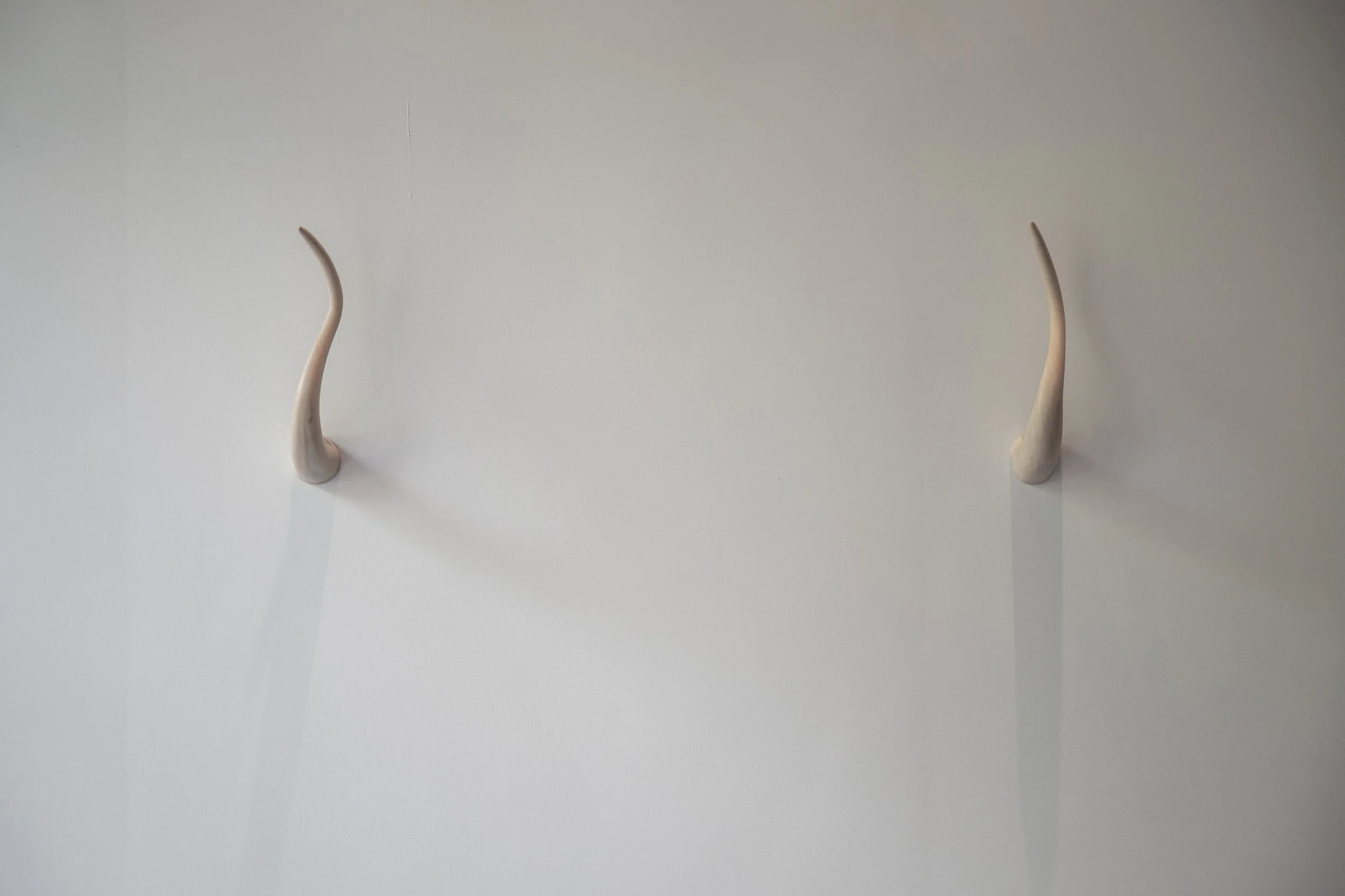 Locus of Voices-23.jpg