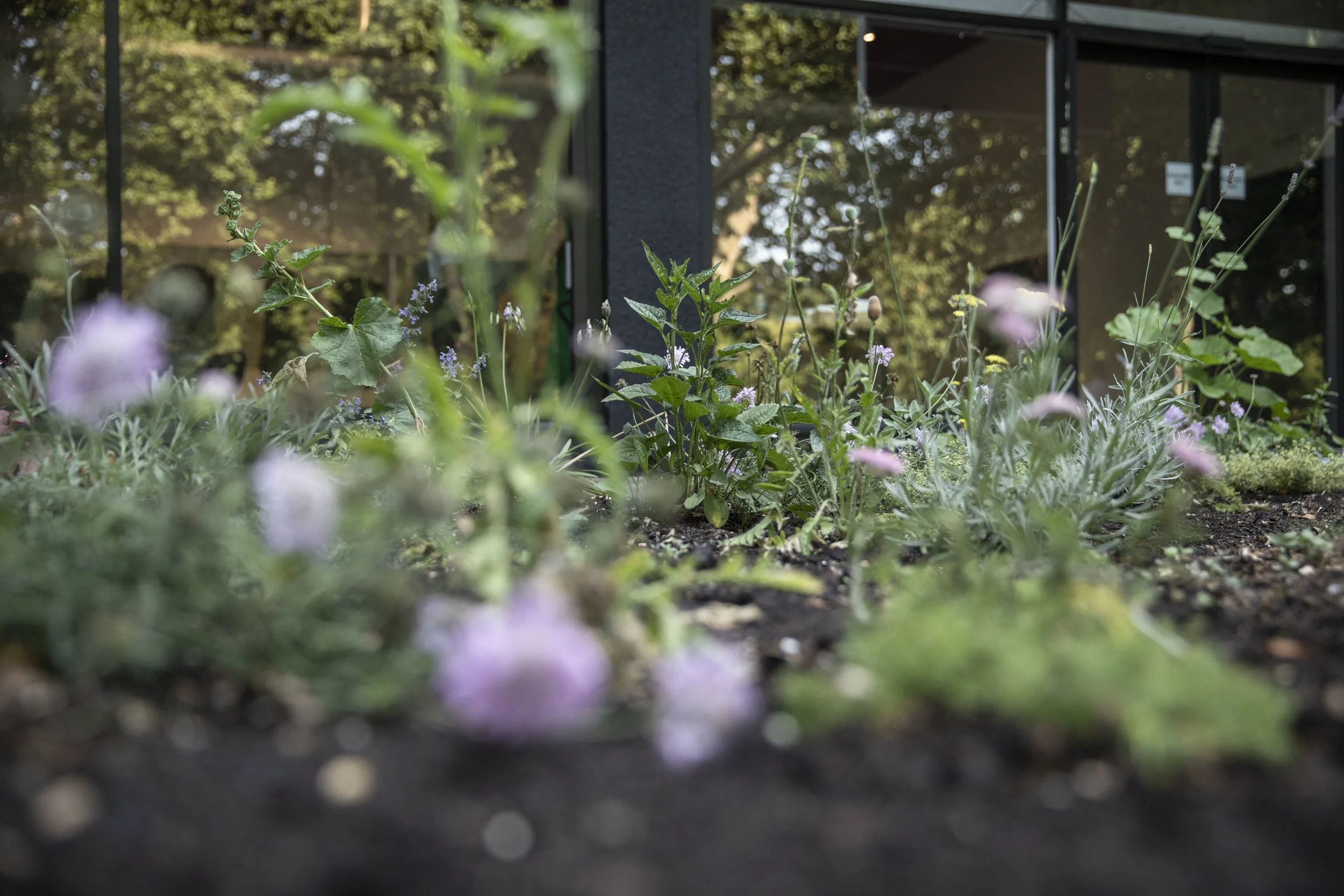 Locus of Voices-57.jpg