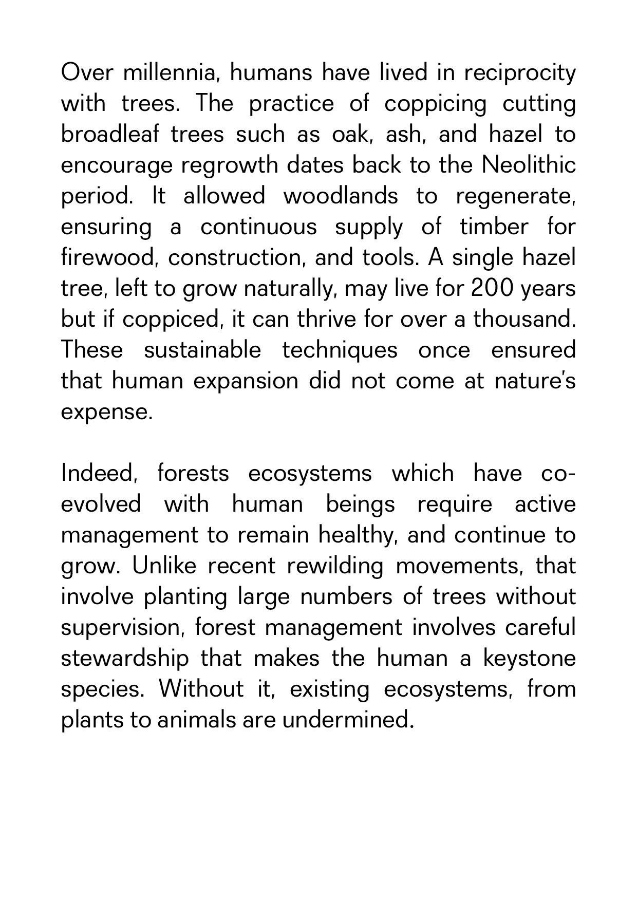 PANSENTIENT ARBORICULTURE_23.jpg