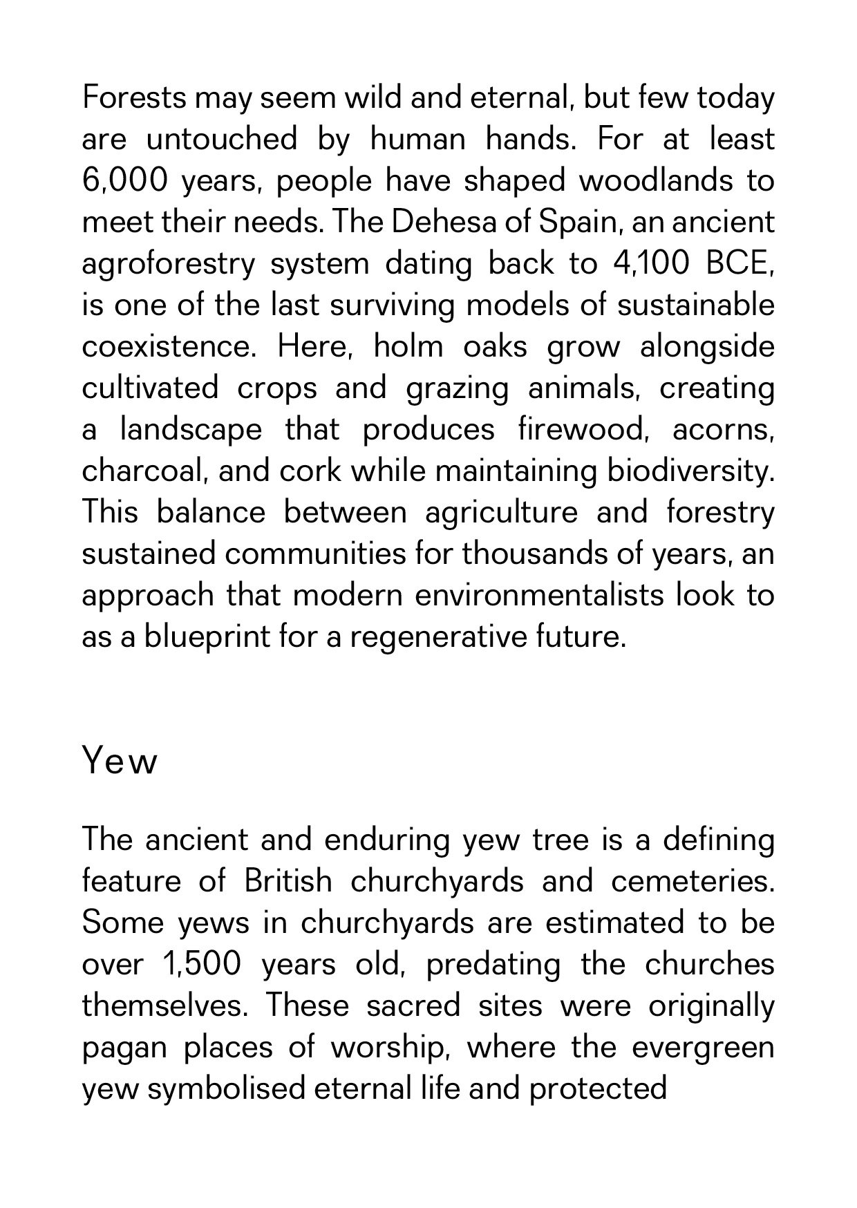 PANSENTIENT ARBORICULTURE_26.jpg