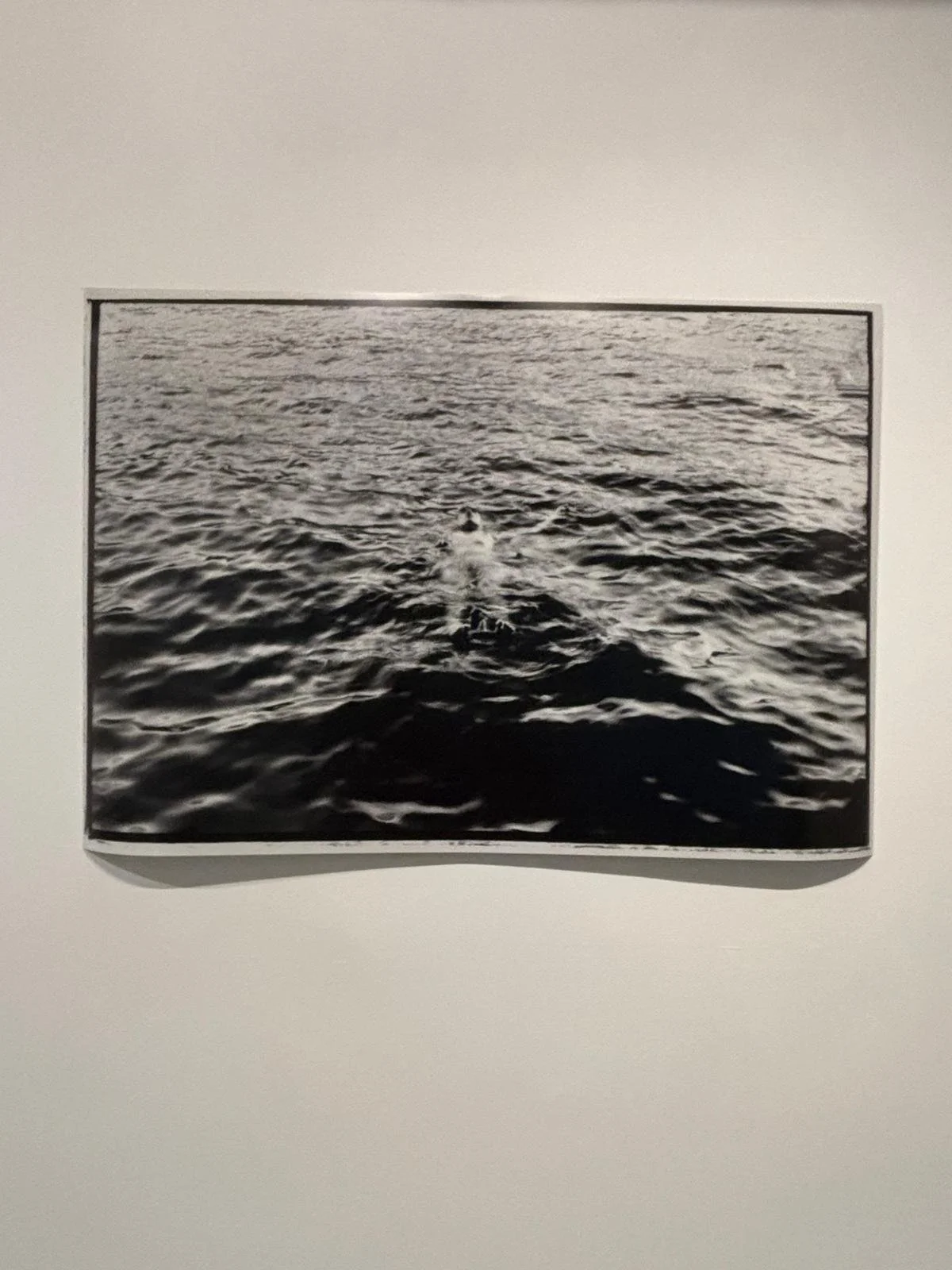 PHOTO-2026-03-06-18-51-53 (3).jpg