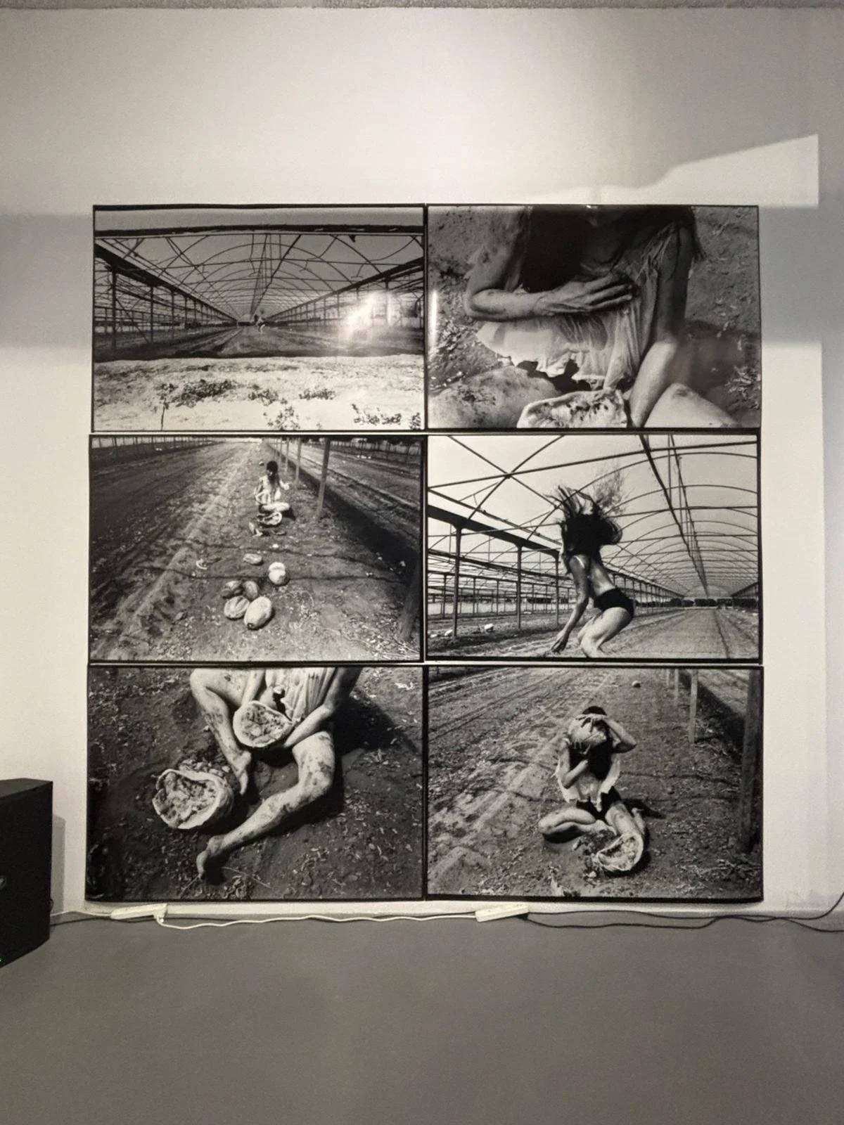 PHOTO-2026-03-06-18-51-53 (1).jpg