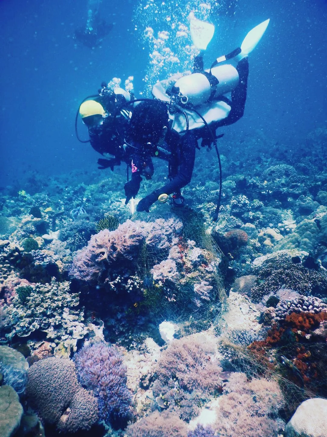 Julian Udine_Scuba 1 IG.jpg