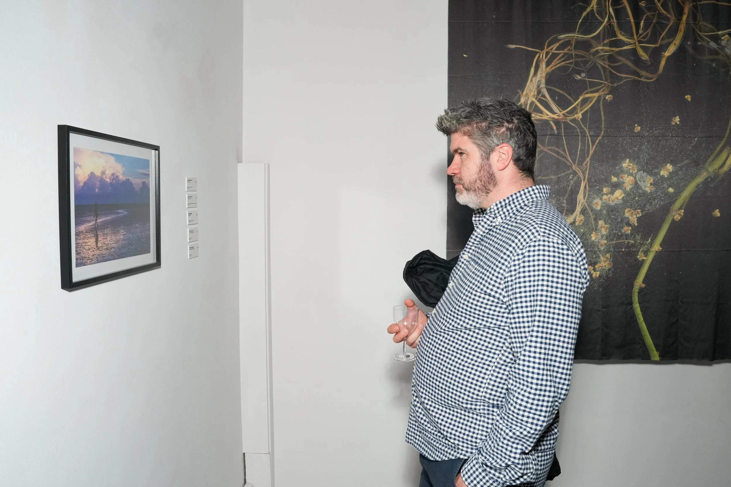 DSC02427-8.jpg