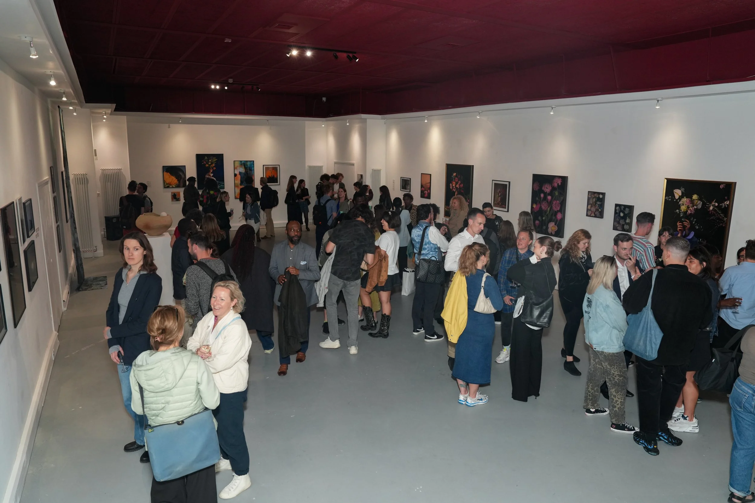 DSC02357-2.jpg