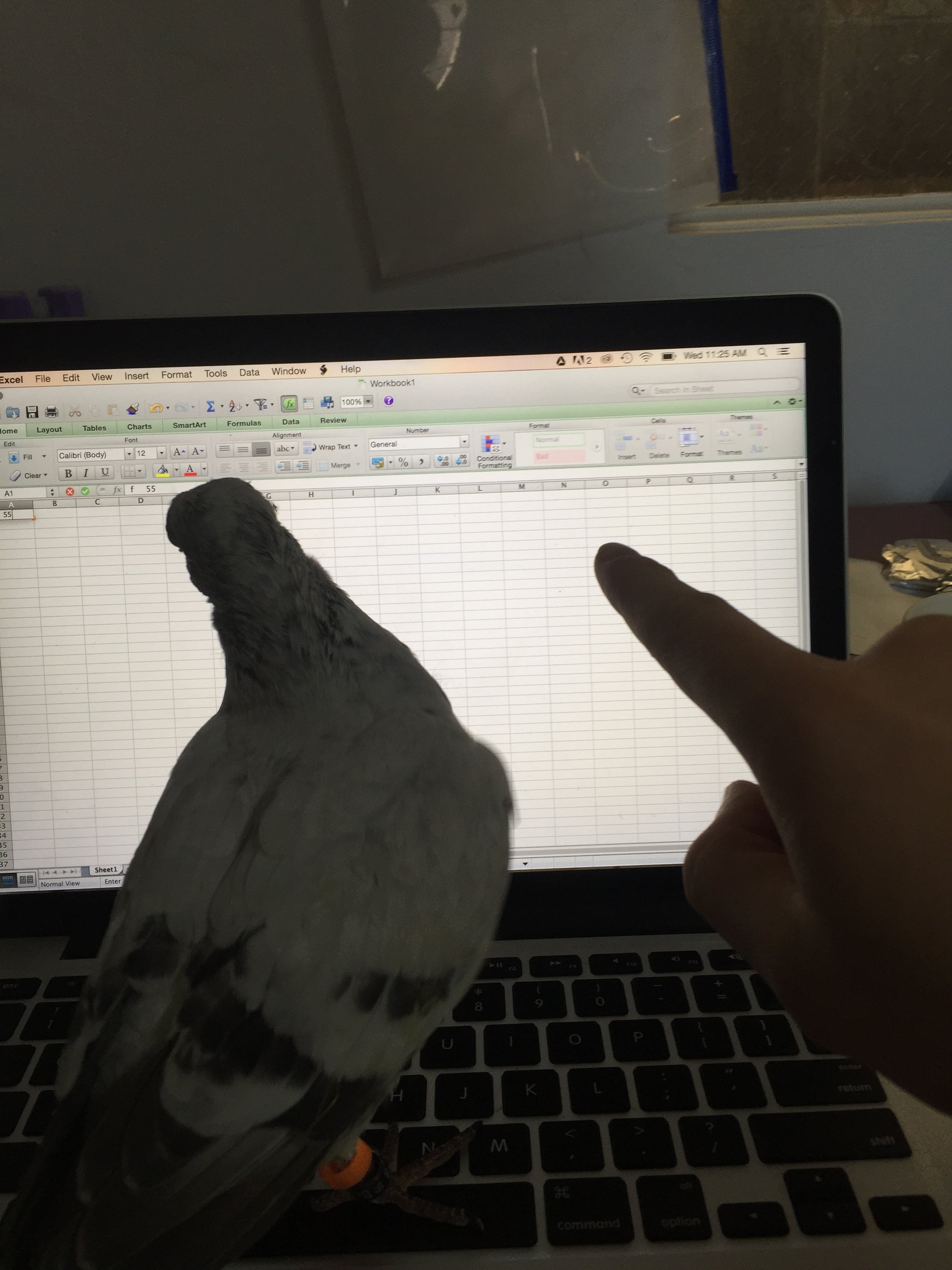 Photo Dec 16, 11 25 38.jpg