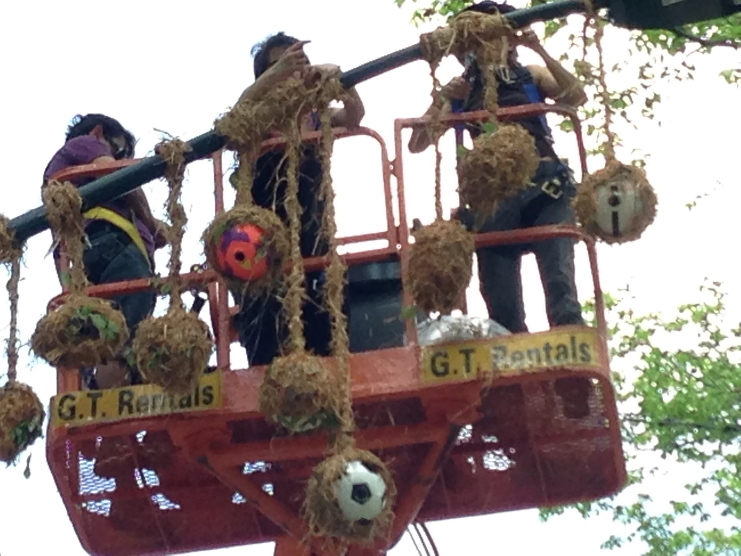 2015-05-11 13.23.49.jpg