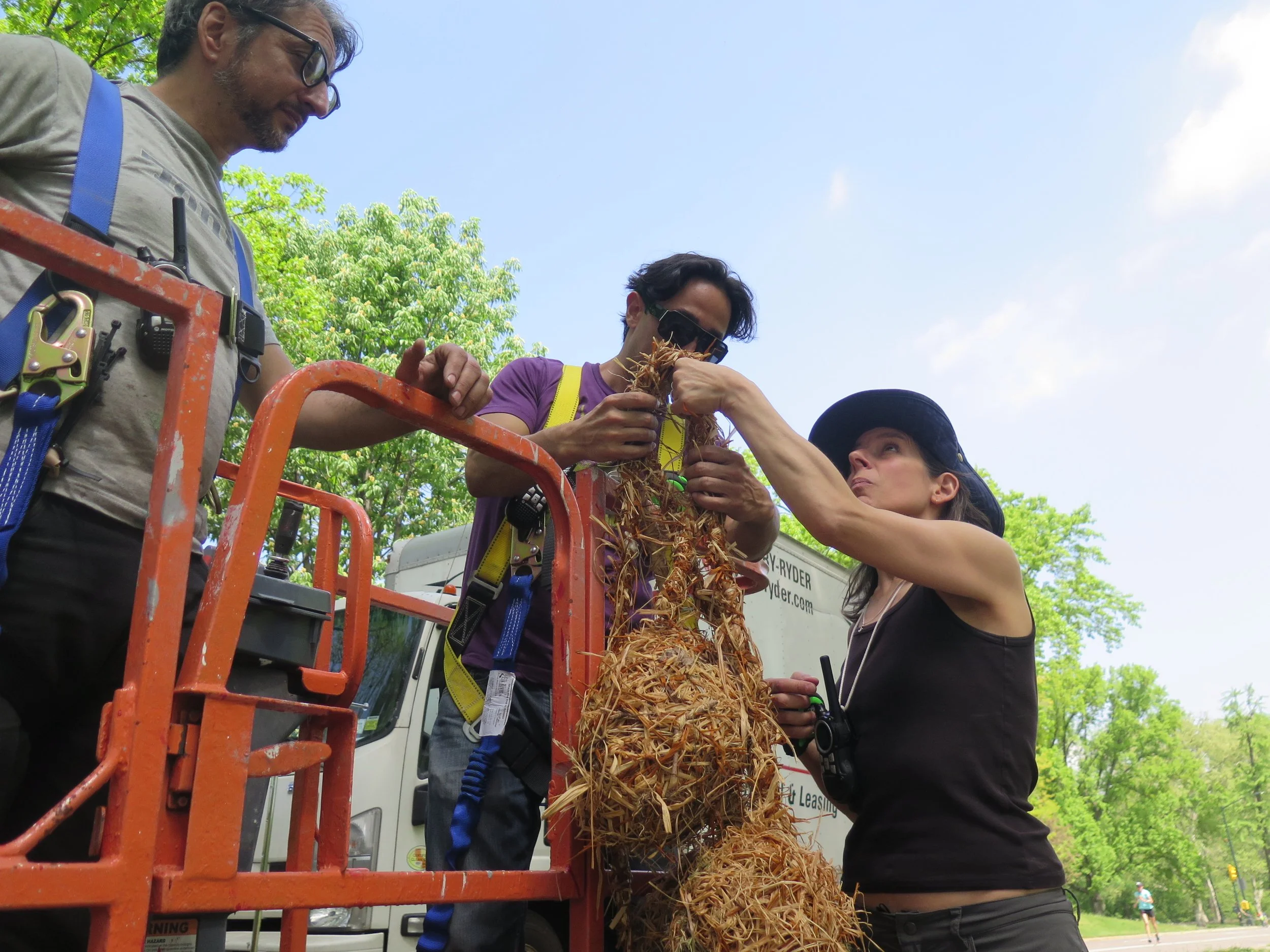 2015-05-11 21.25.04.jpg