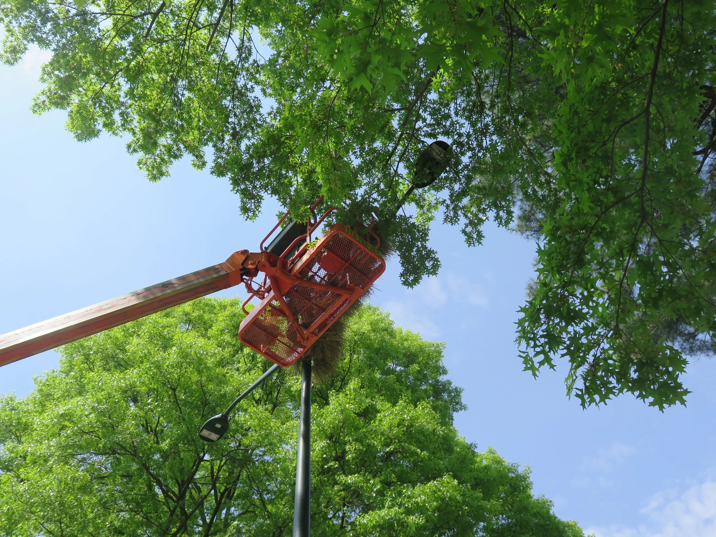 2015-05-12 00.33.15.jpg