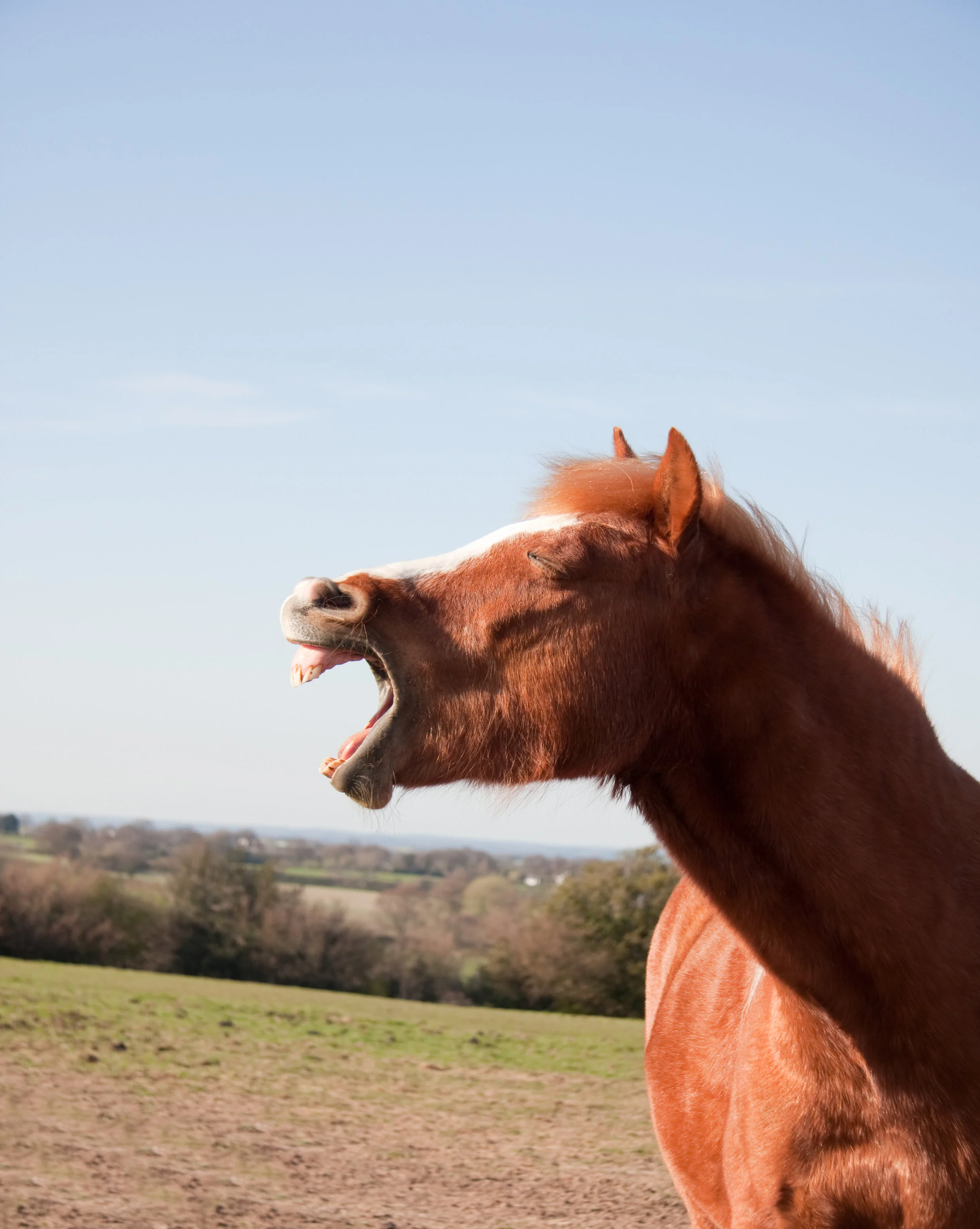 shutterstock_52062358.jpg