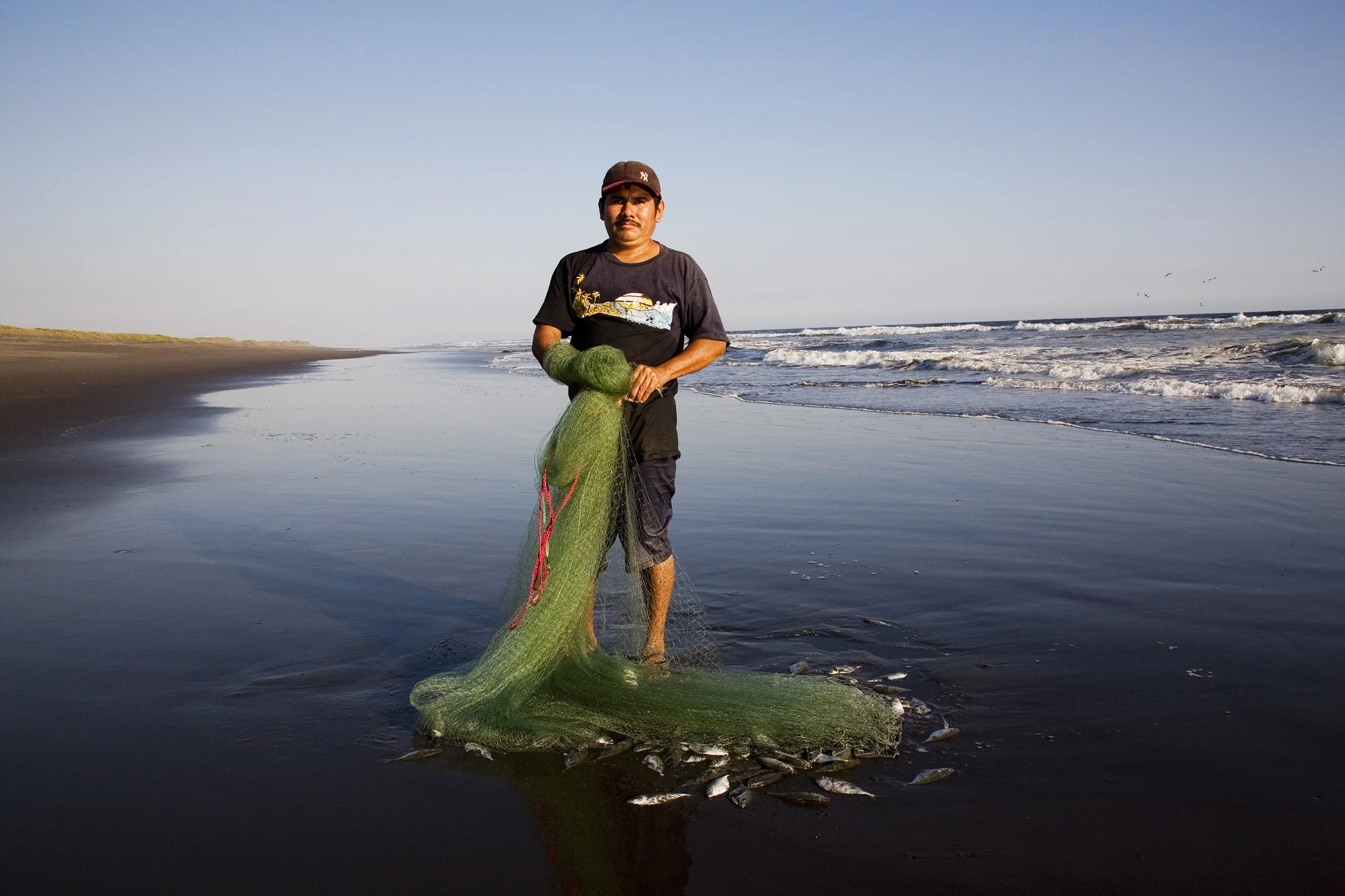 The Afternoon Catch (2015)