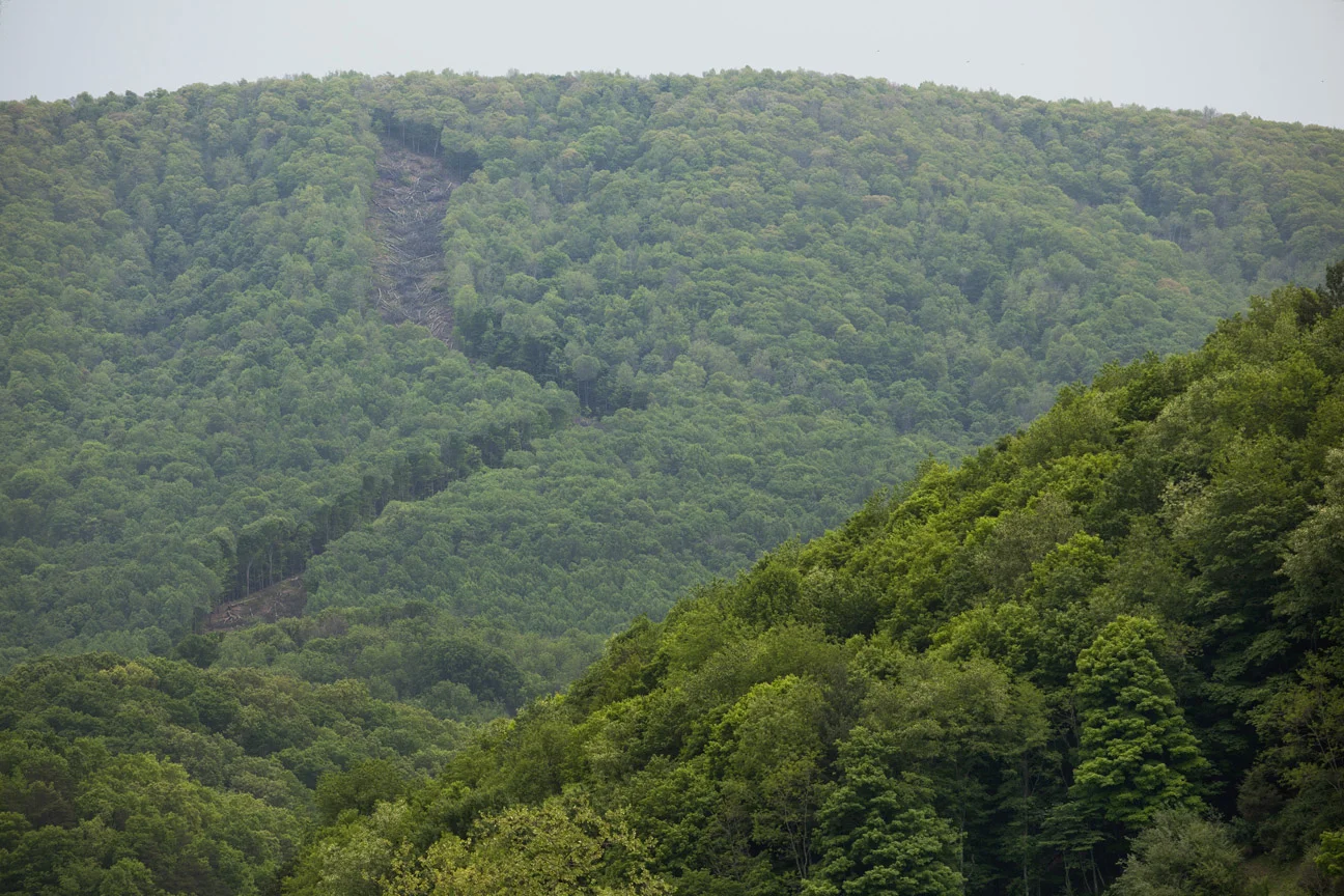 West Virginia Pipeline Protest.jpg