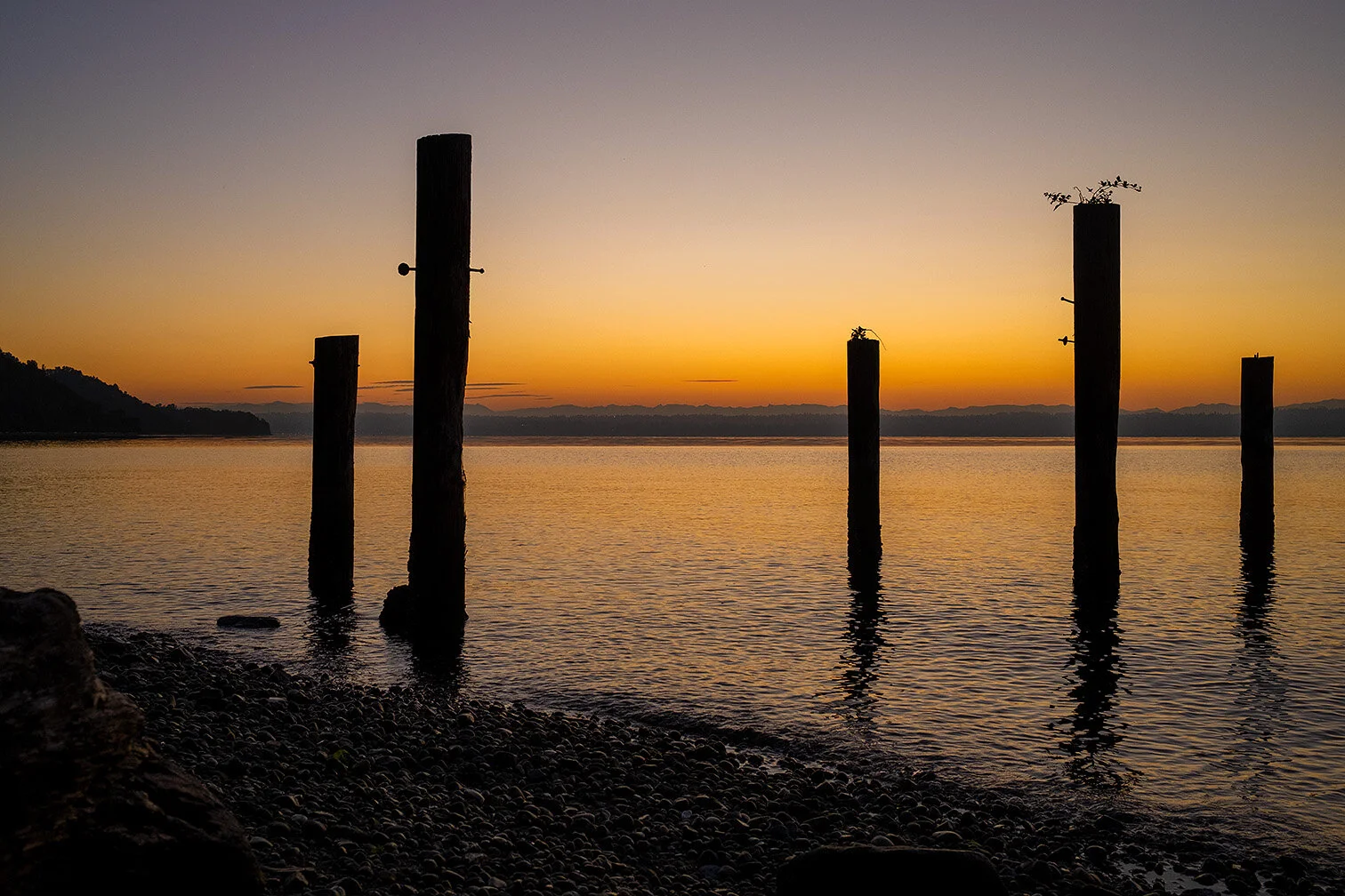 DSCF1239.jpg