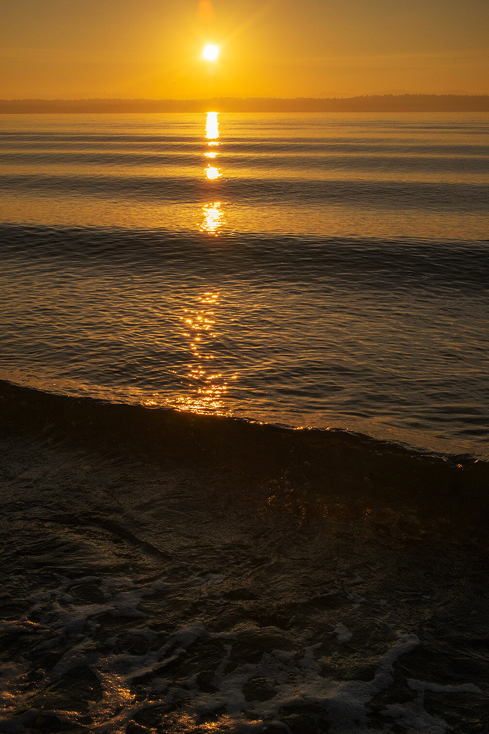 DSCF1325.jpg