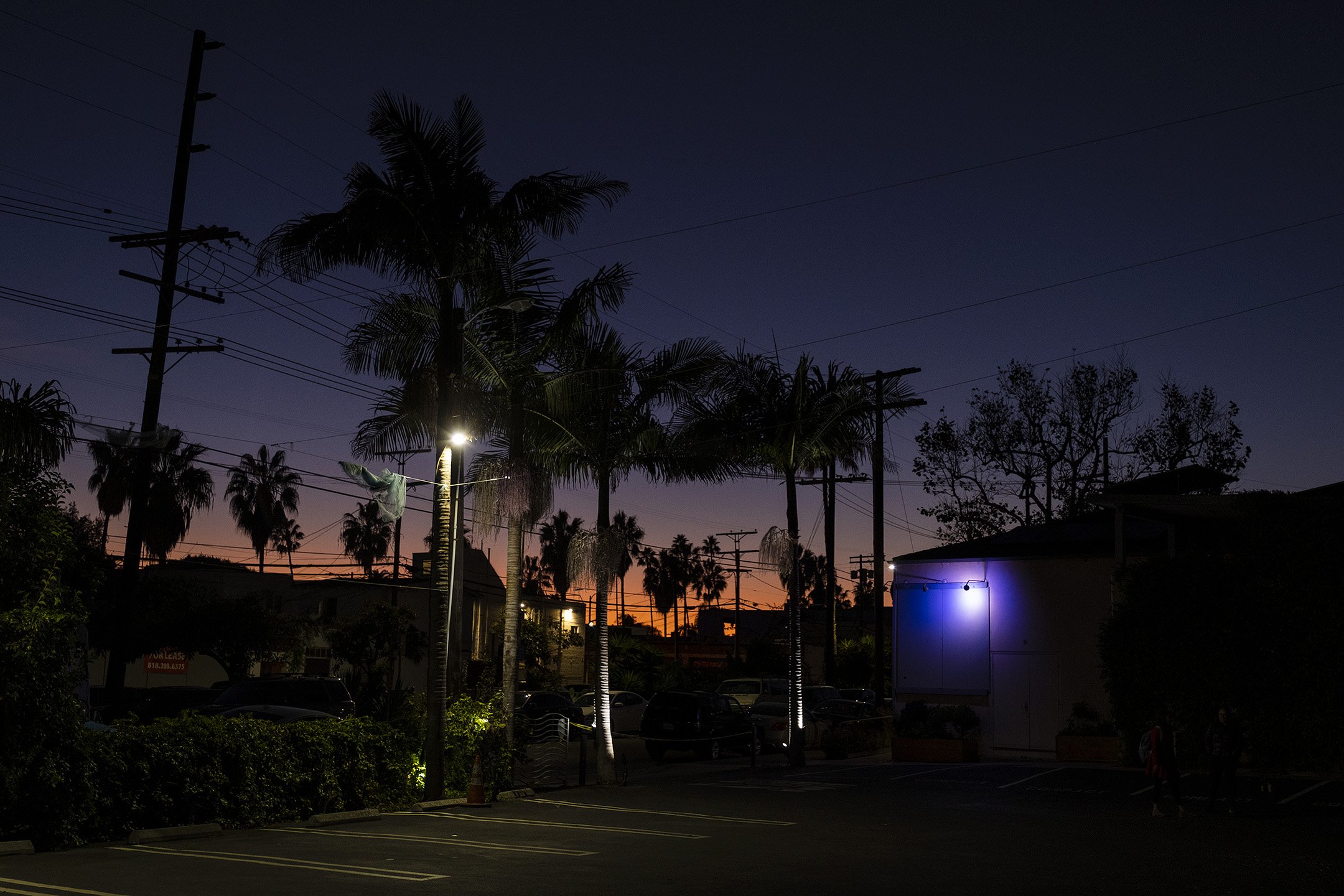 _DSF3223.jpg