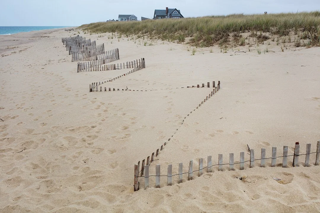  Erosion prevention fencing on Nantucket’s Great Point Beach. 