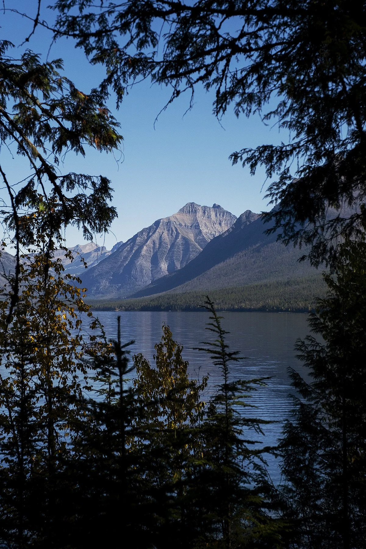 _DSF7040.jpg