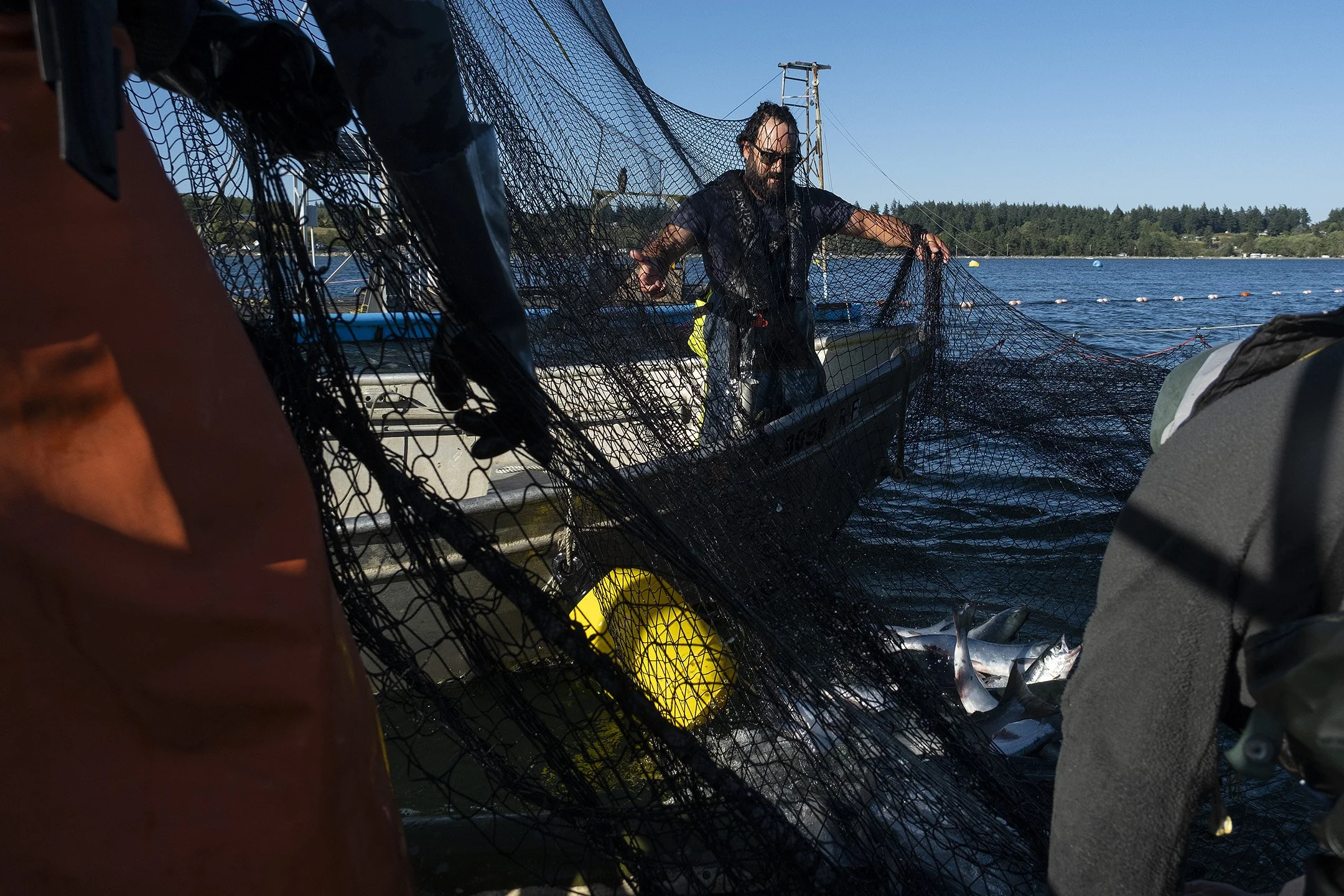There are only 12 licenses for reefnet fishing remaining in the US, and 8 of them fish salmon in Legoe Bay on Lummi Island, WA. This is a photo essay looking at the people, the gear, the fishing and the island where it happens.