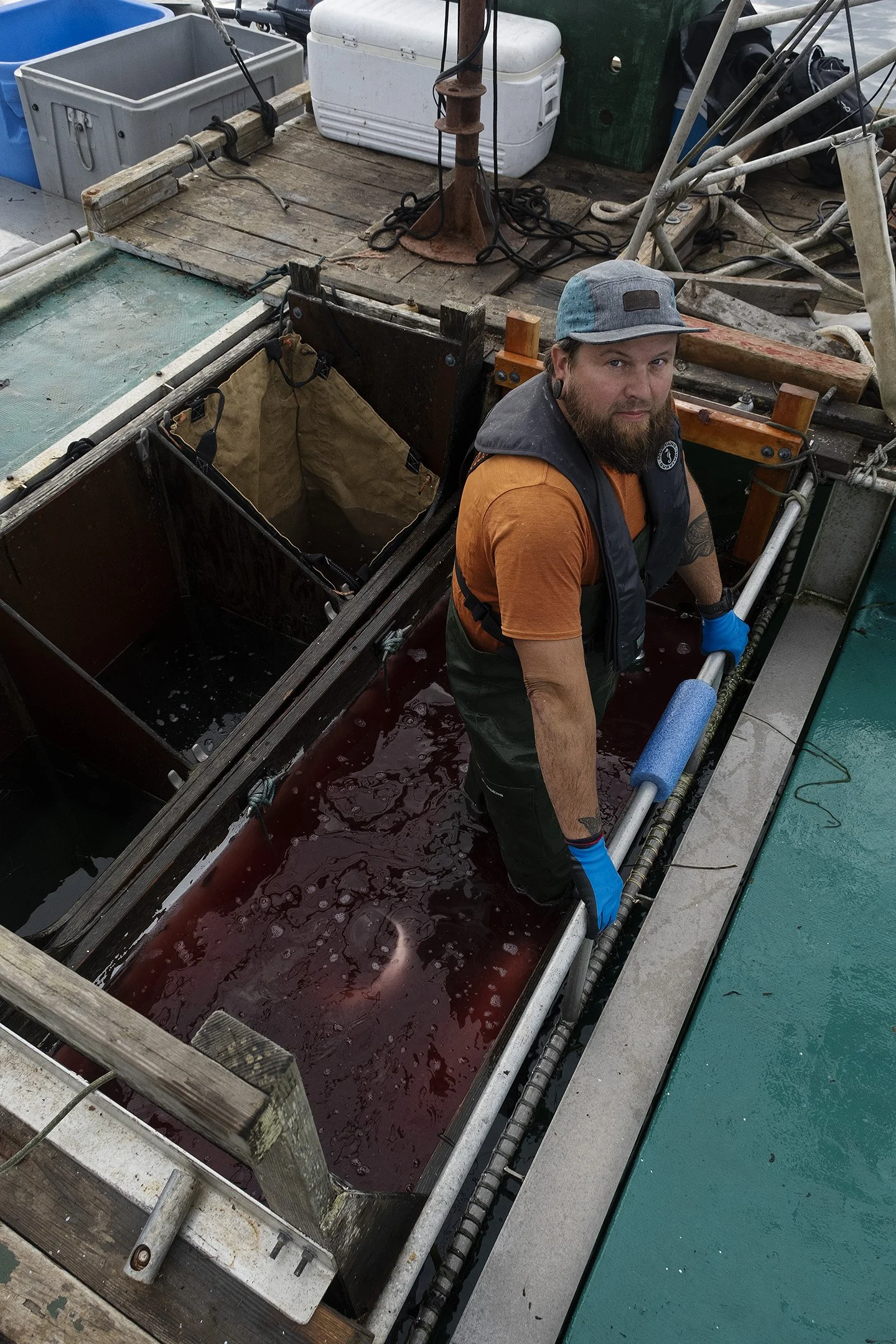 Owen stands in the live well after sorting and bleeding the salmon.