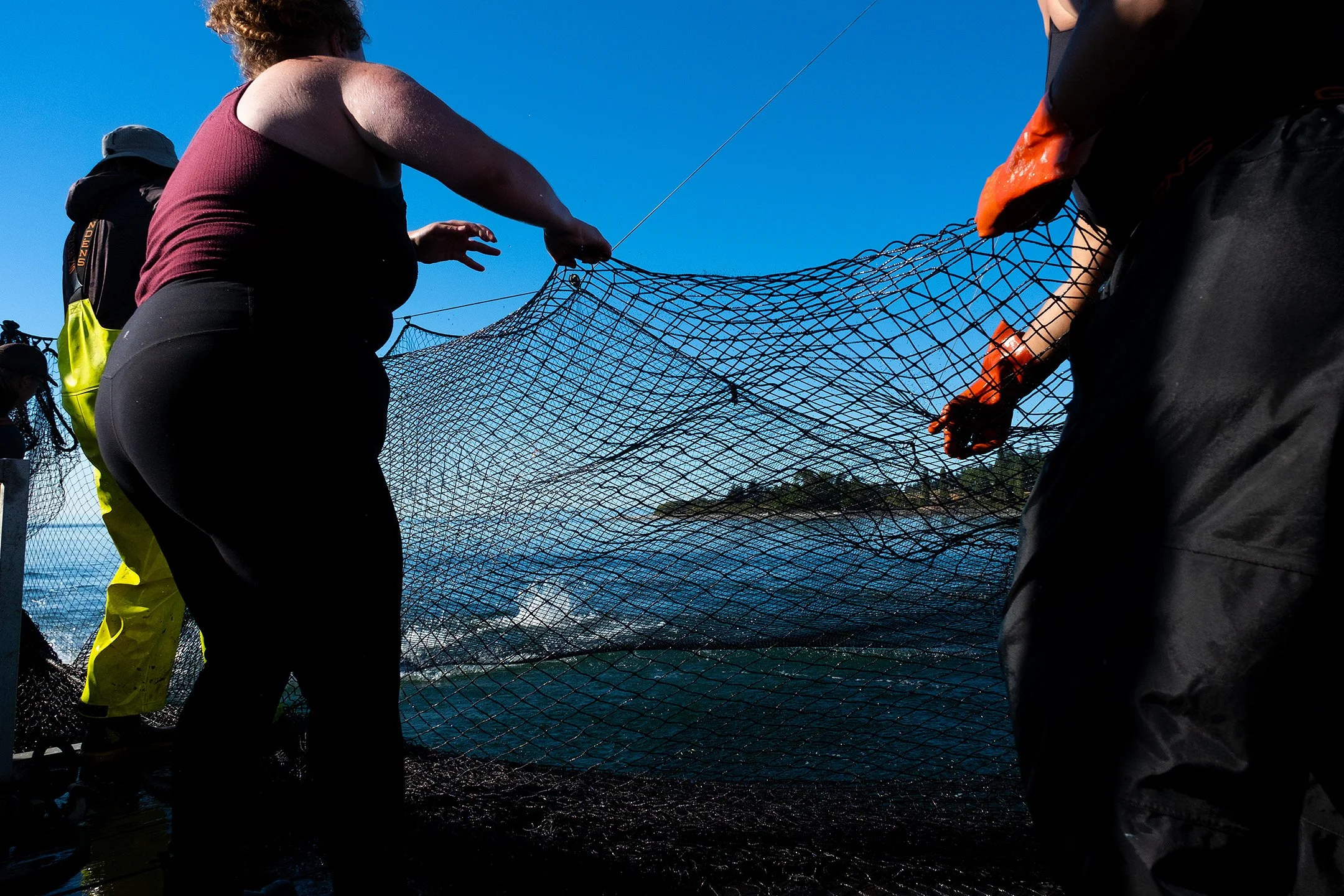 Crew pull in the net by hand. Winch motors that pull in certain parts of the net are powered by solar panels, making reefnet fishing uniquely sustainable.