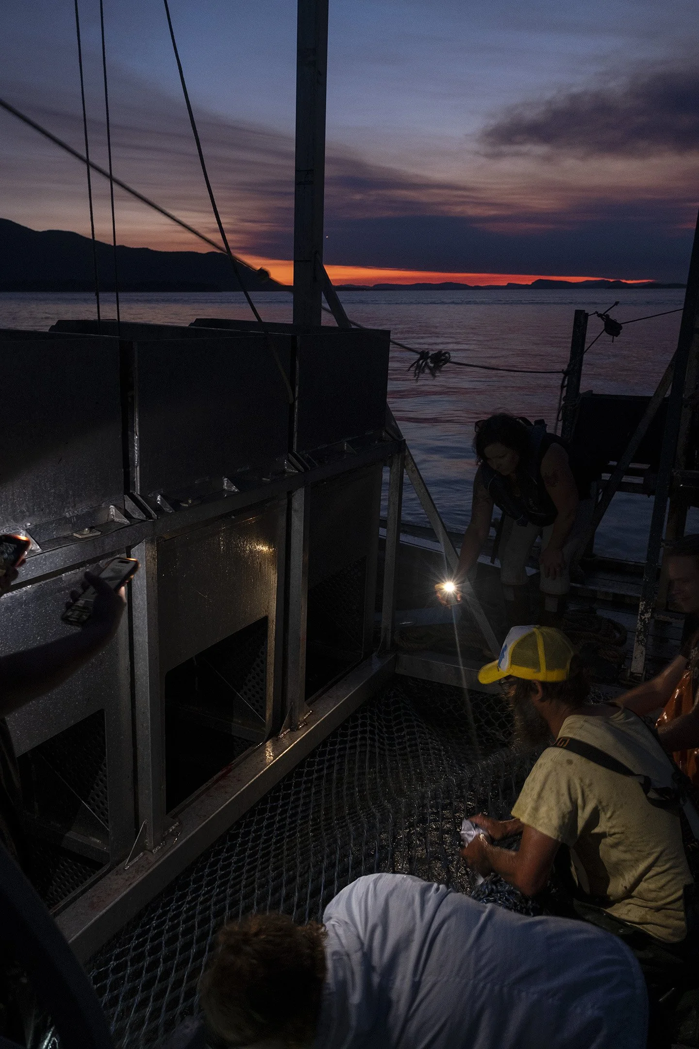 The crew uses cell phone flashlights to help sort the remaining fish after the sun set.