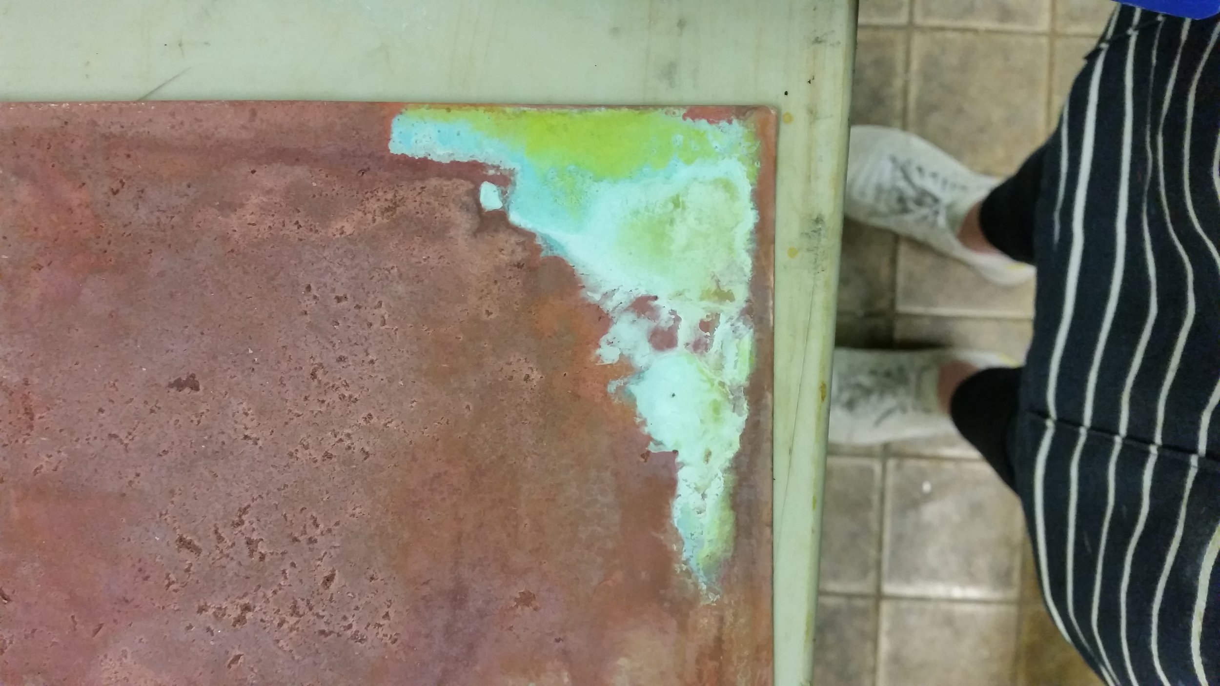 20190519_102807.jpg