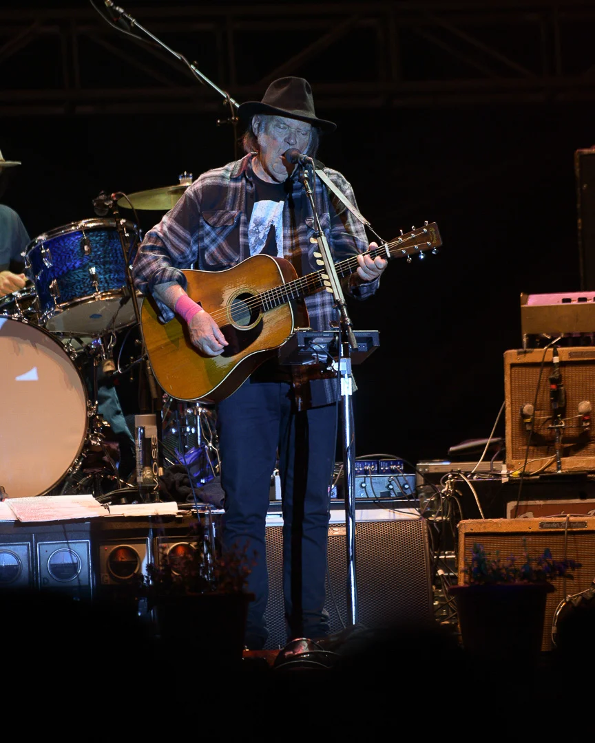 Beale Street Music Festival-16.jpg