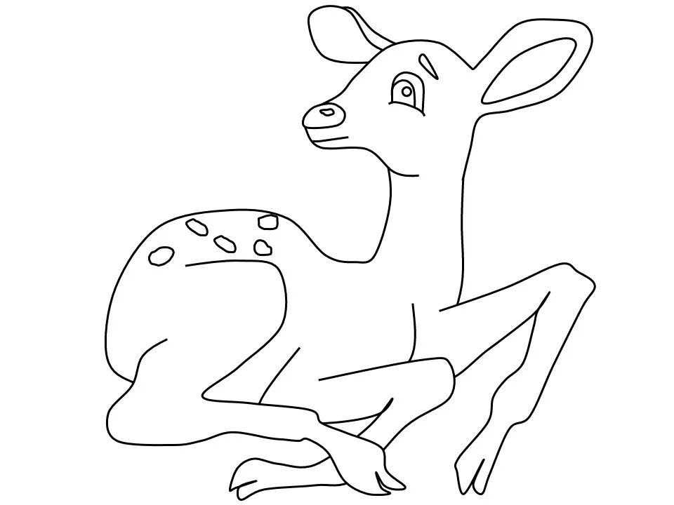Deer Coloring Page.jpg