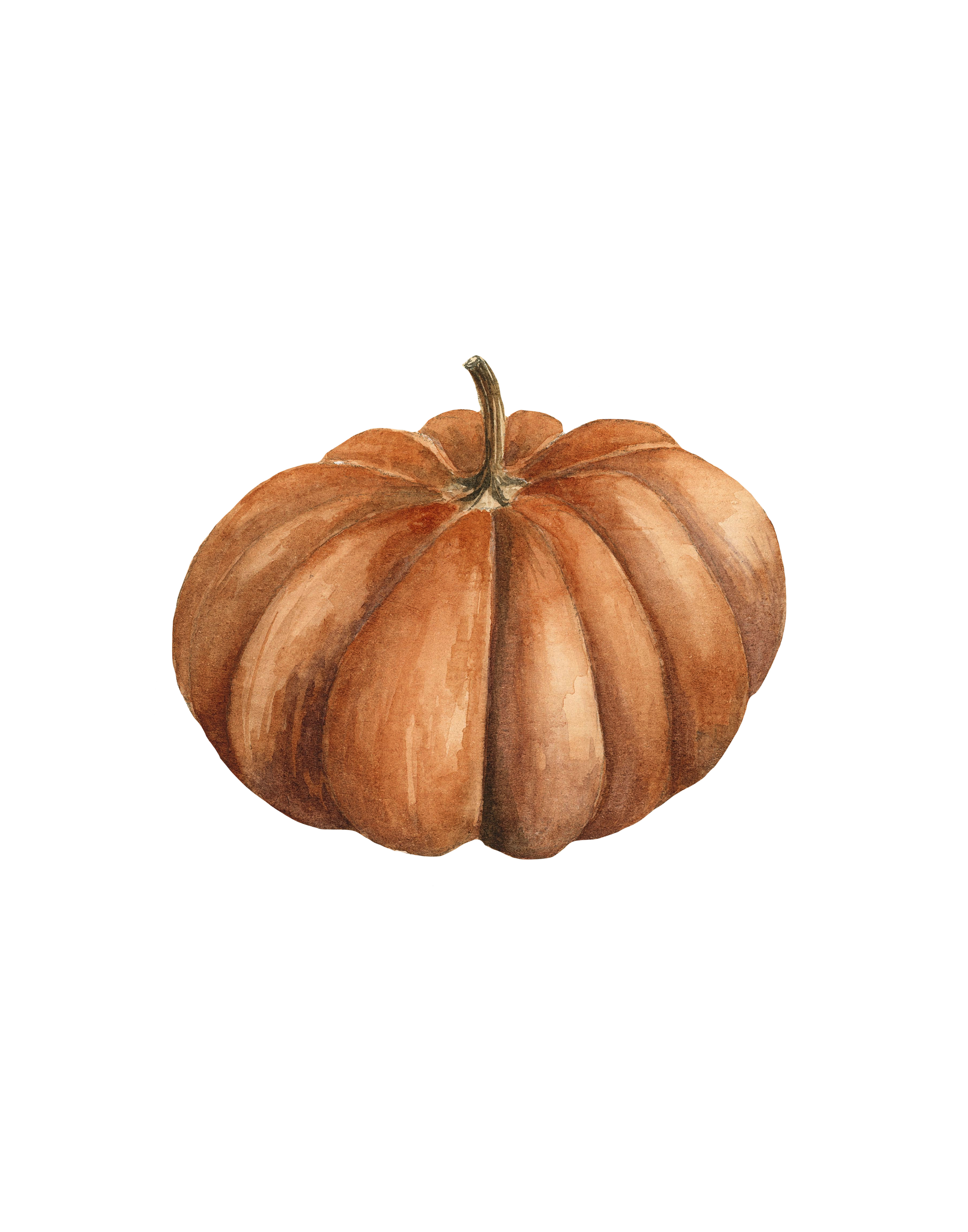 PumpkinTwo11x14.png
