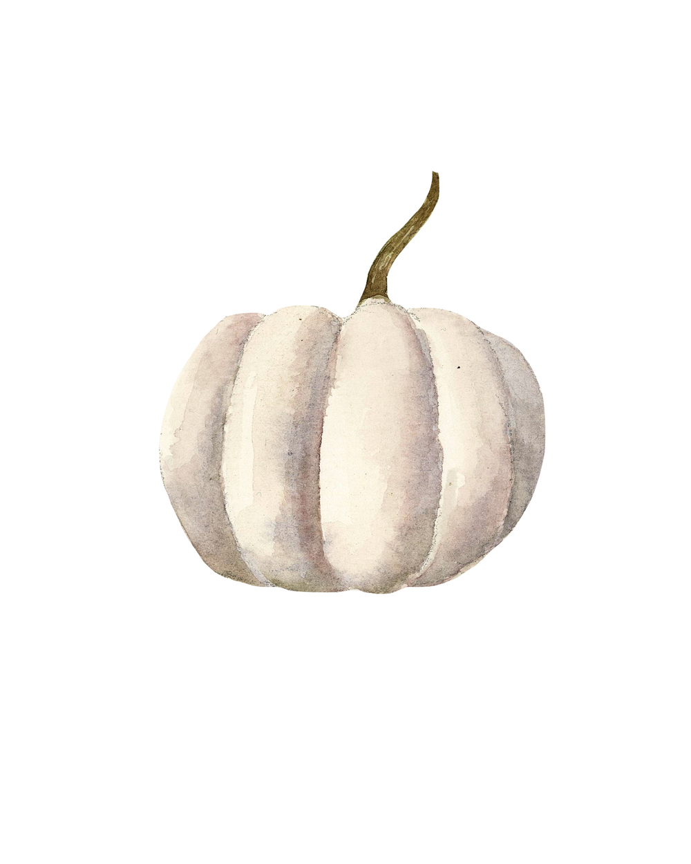 WhitePumpkin4xx5.png